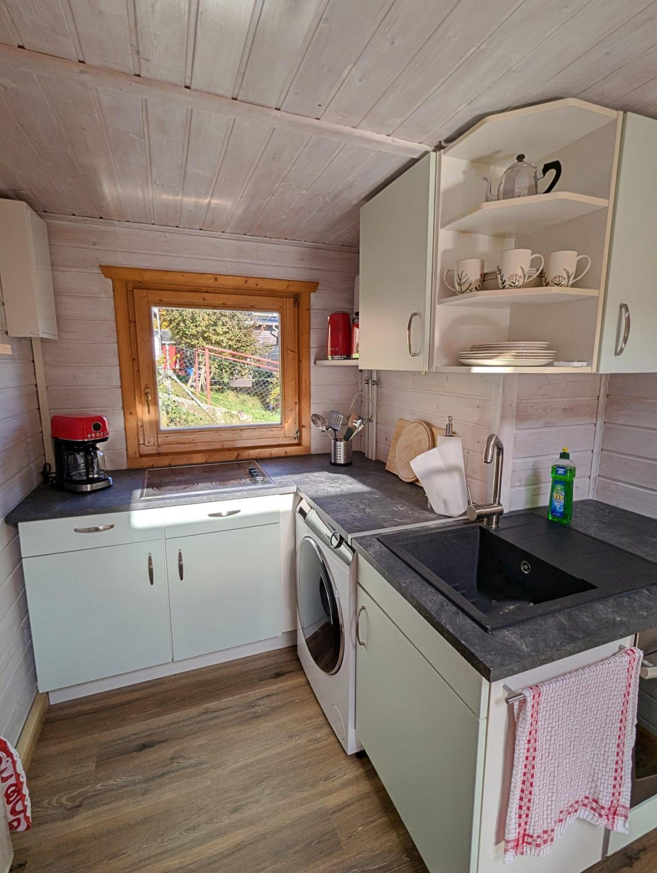 Wichtelhaisl Rittersgrün im Erzgebirge - Entspannen im fröhlichen Tiny House - umzäunter Naturgarten-Hunde willkommen-Terrasse-Elektroauto laden