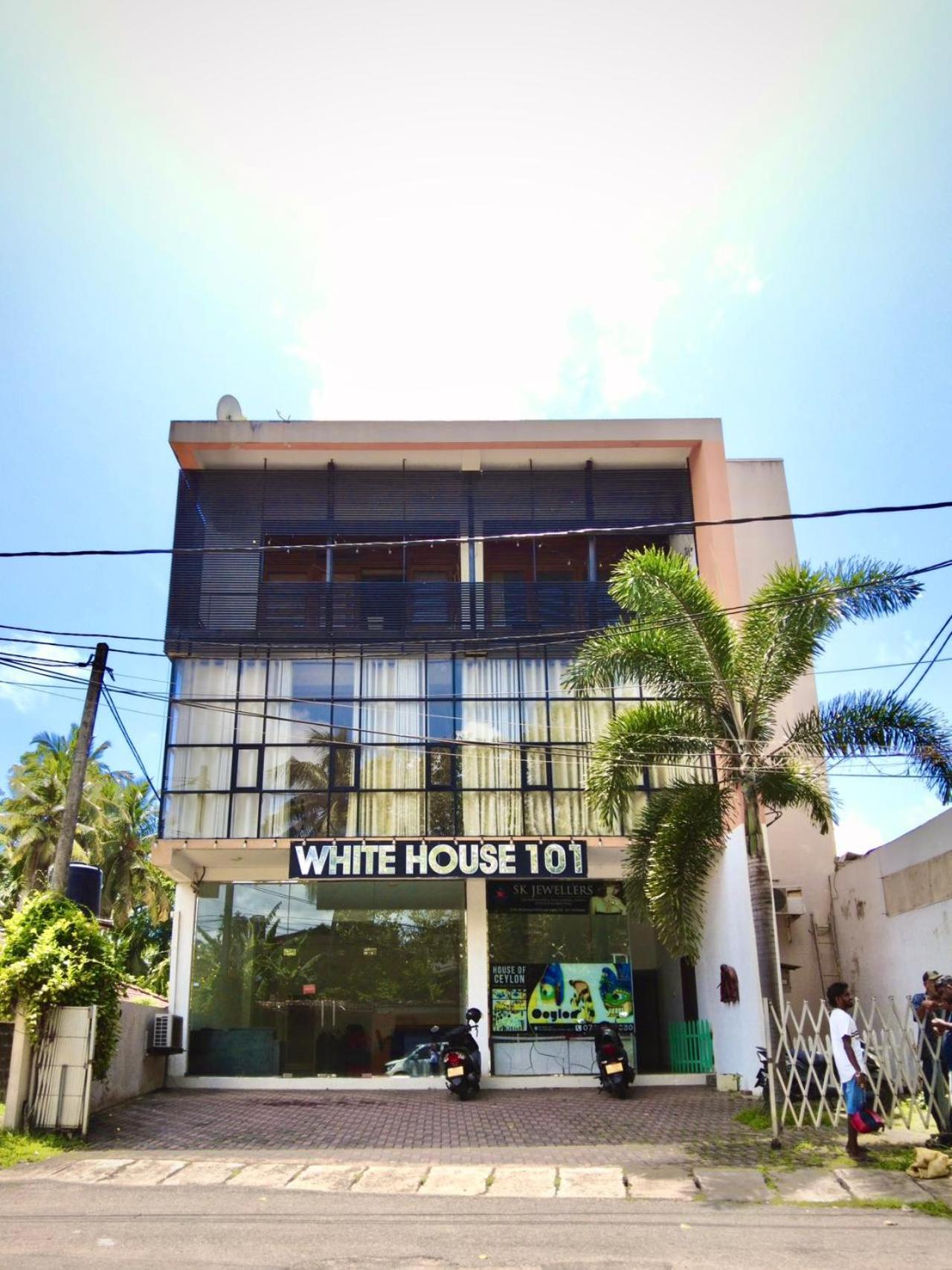 White House 101
