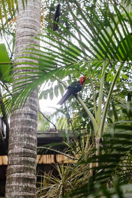 Ananda Eco House - Eco Rainforest Retreat