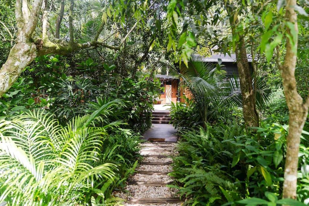 Ananda Eco House - Eco Rainforest Retreat