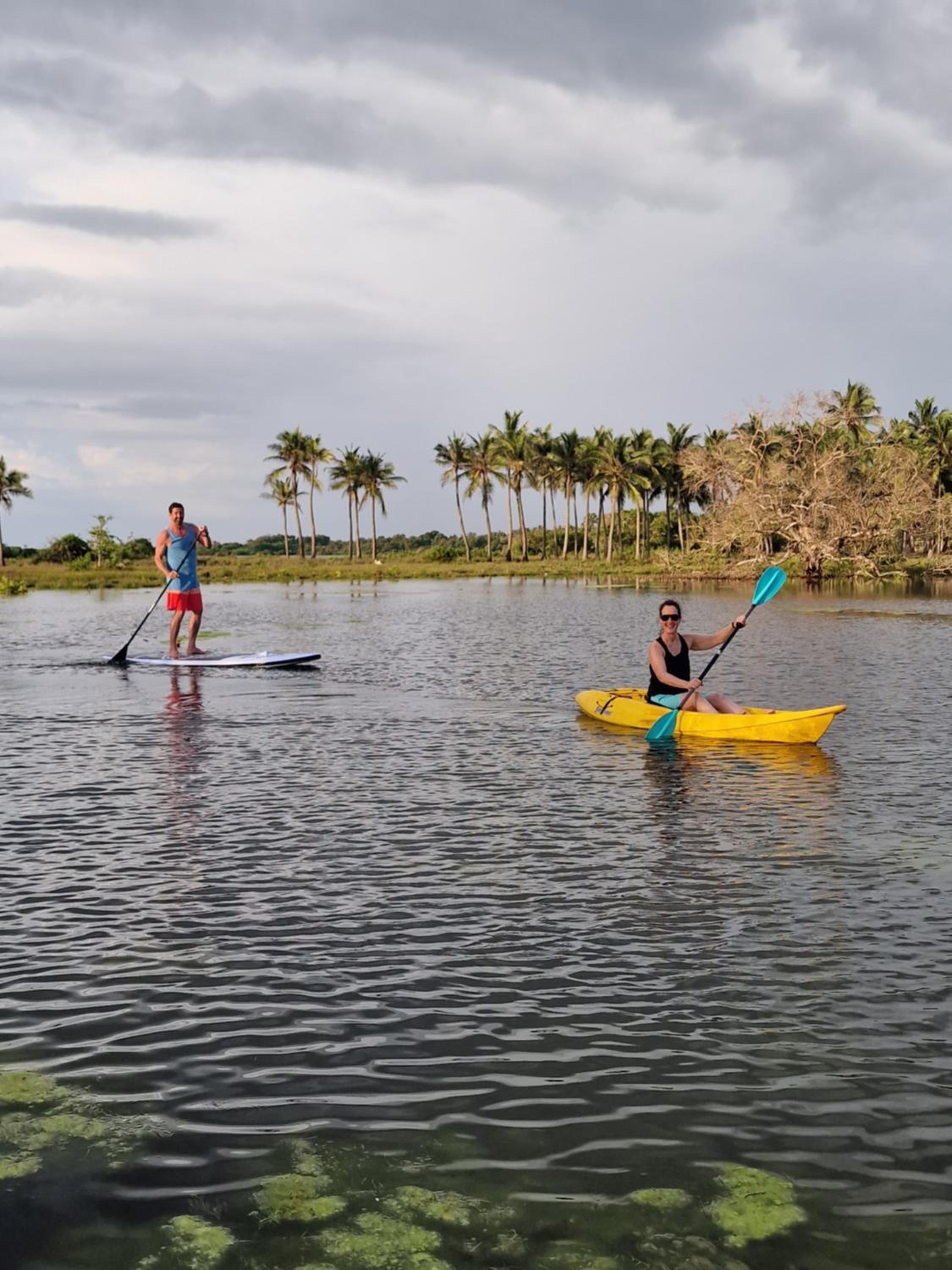 Elements Beach & Nature Resort