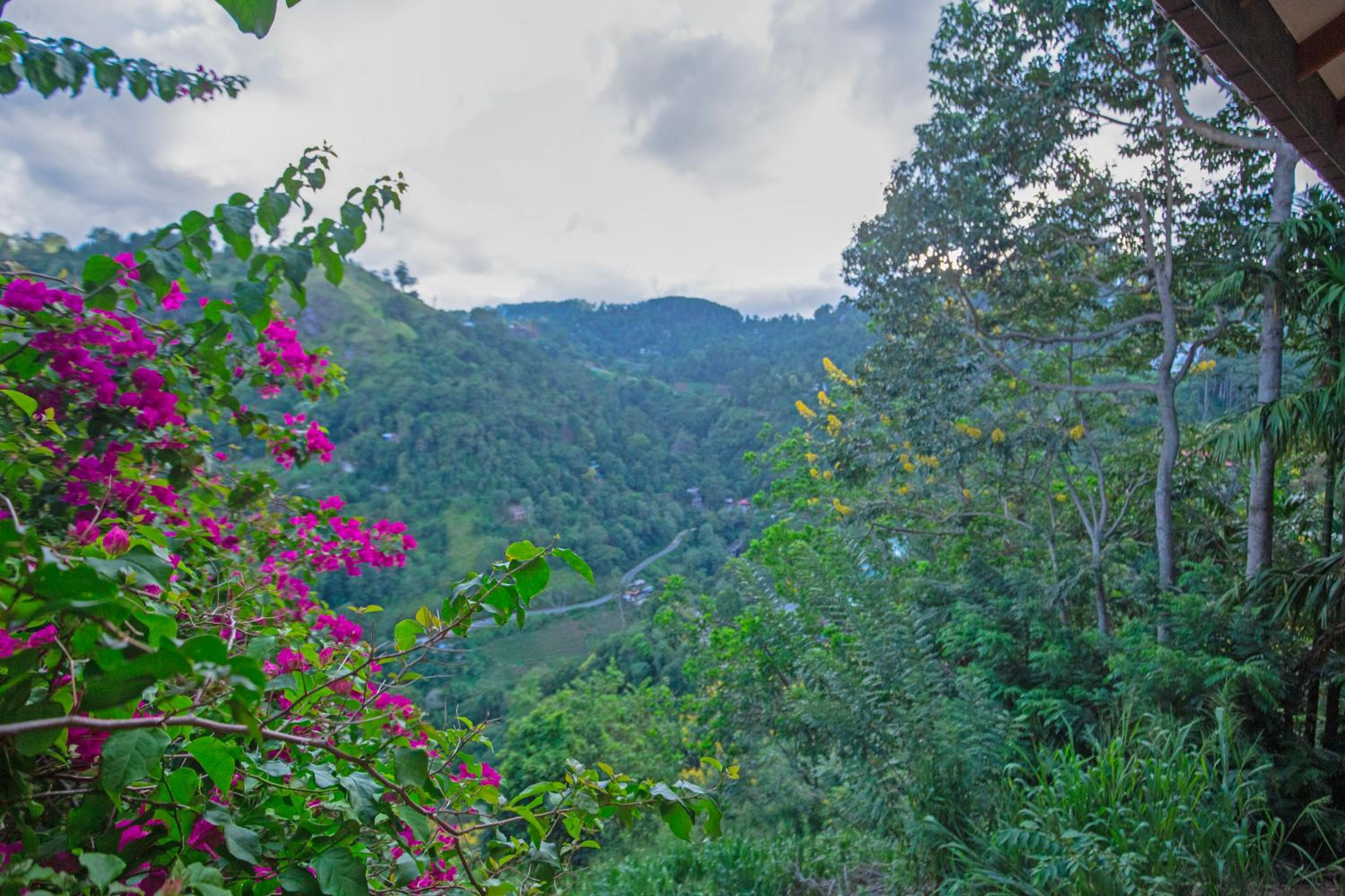 Photo 187