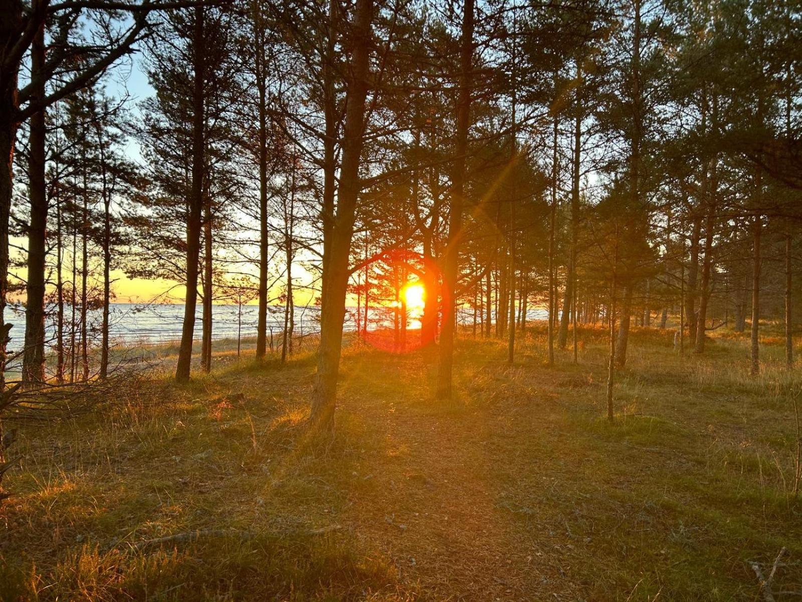 Brīvdienu māja Mulki