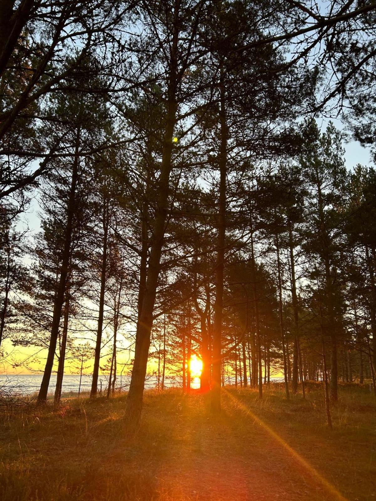 Brīvdienu māja Mulki