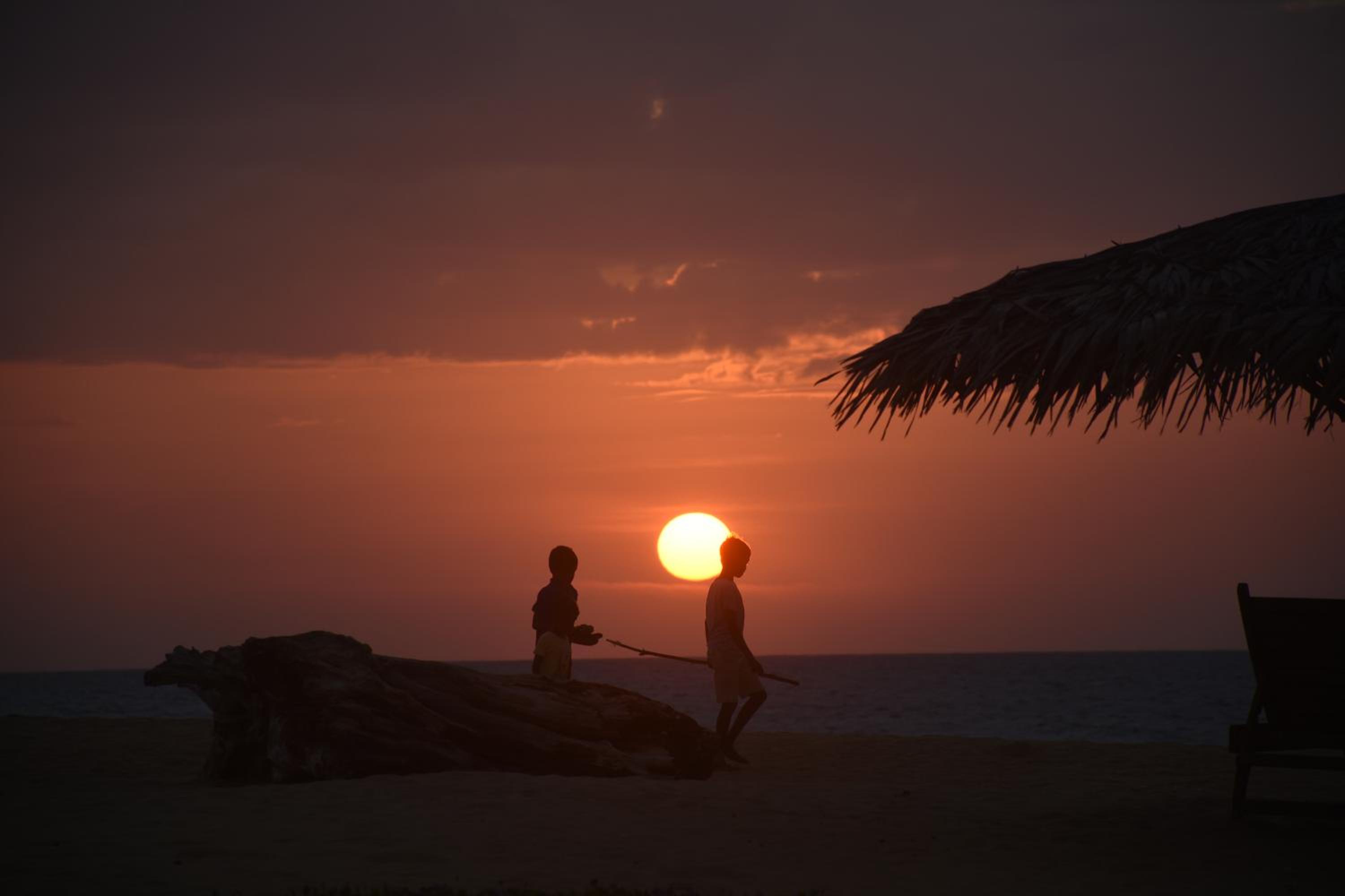 Elements Beach & Nature Resort