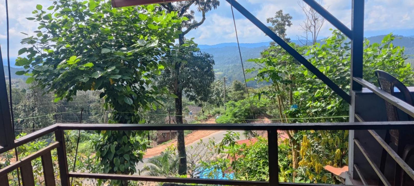 Danny's Den view 5