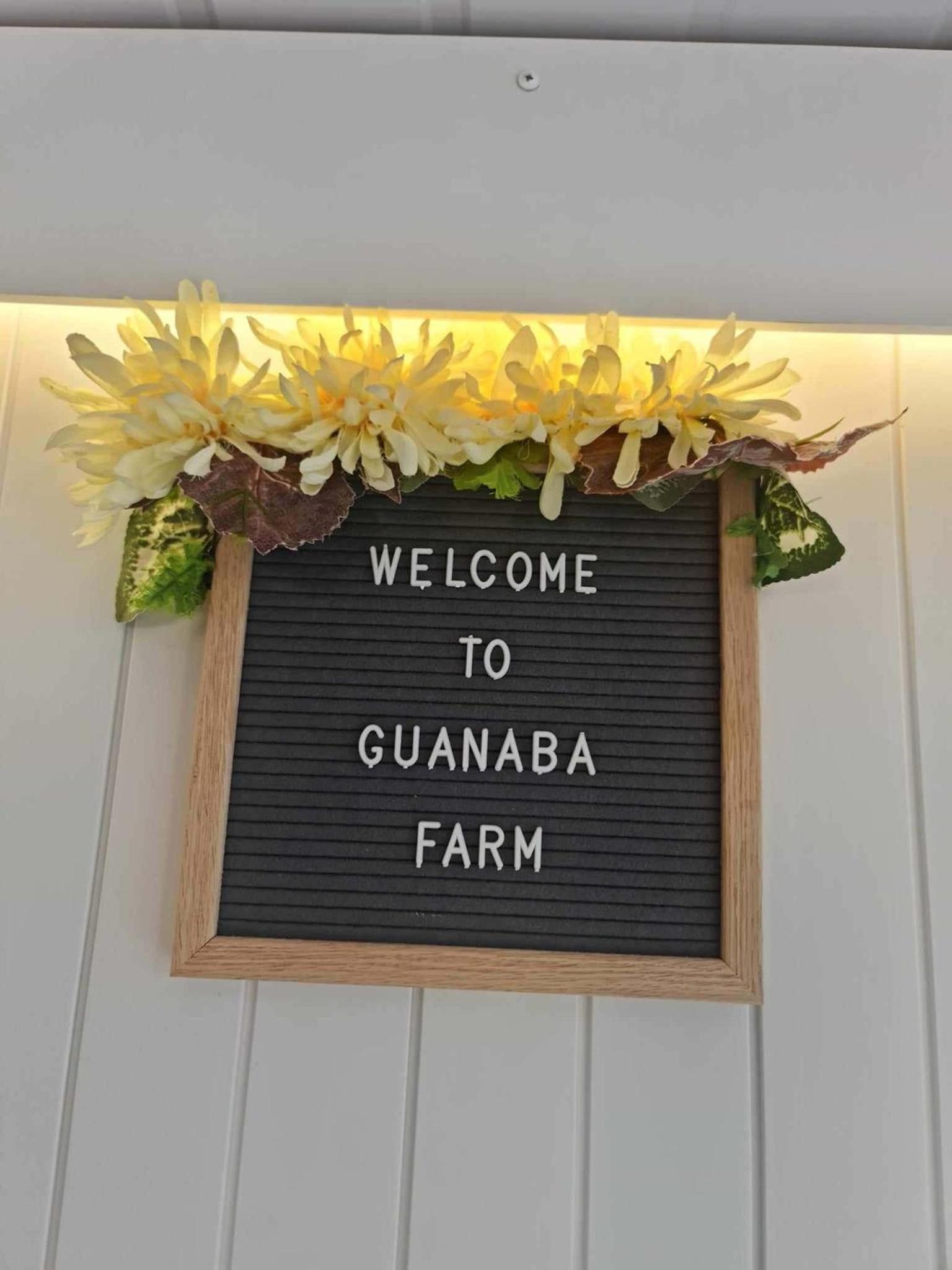 Guanaba Farm by Tiny Away