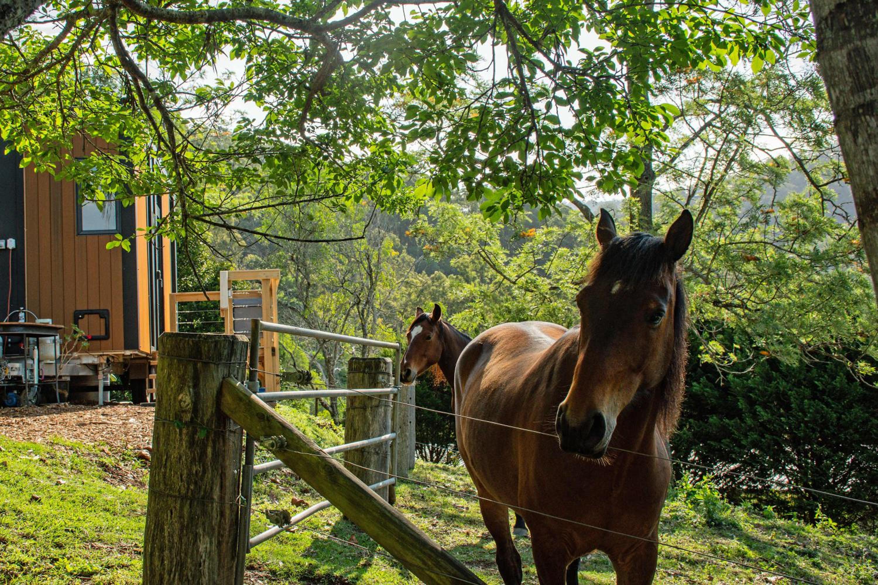 Guanaba Farm by Tiny Away