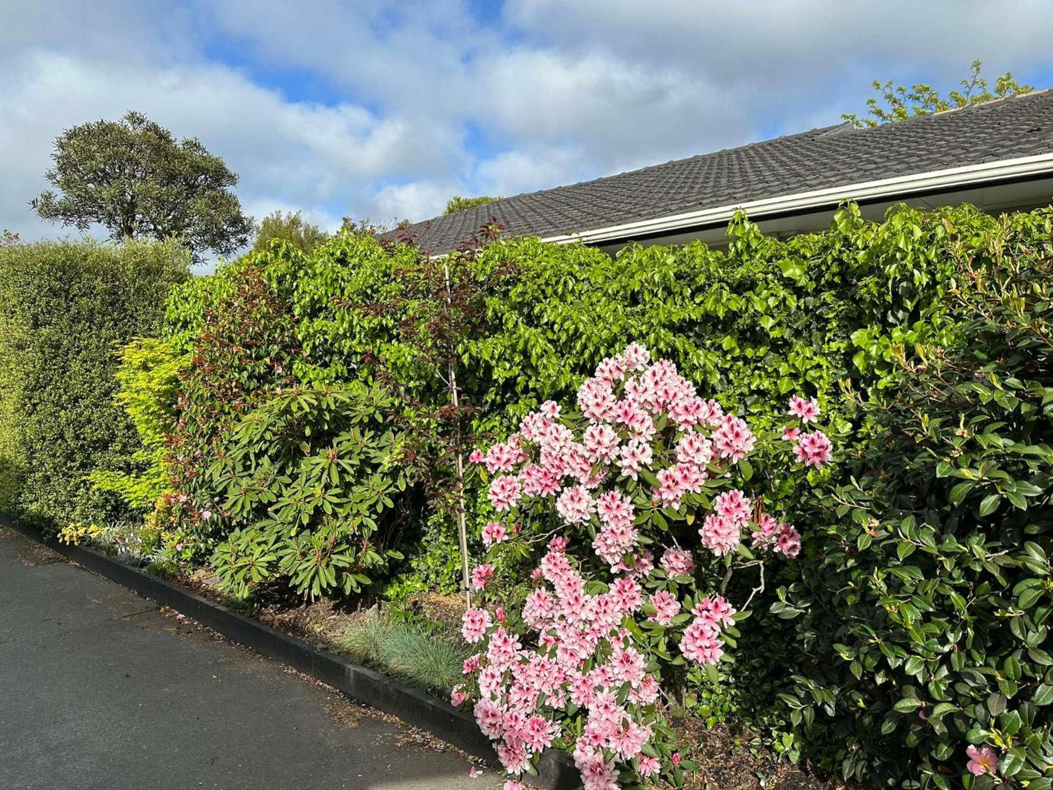 Photo 20