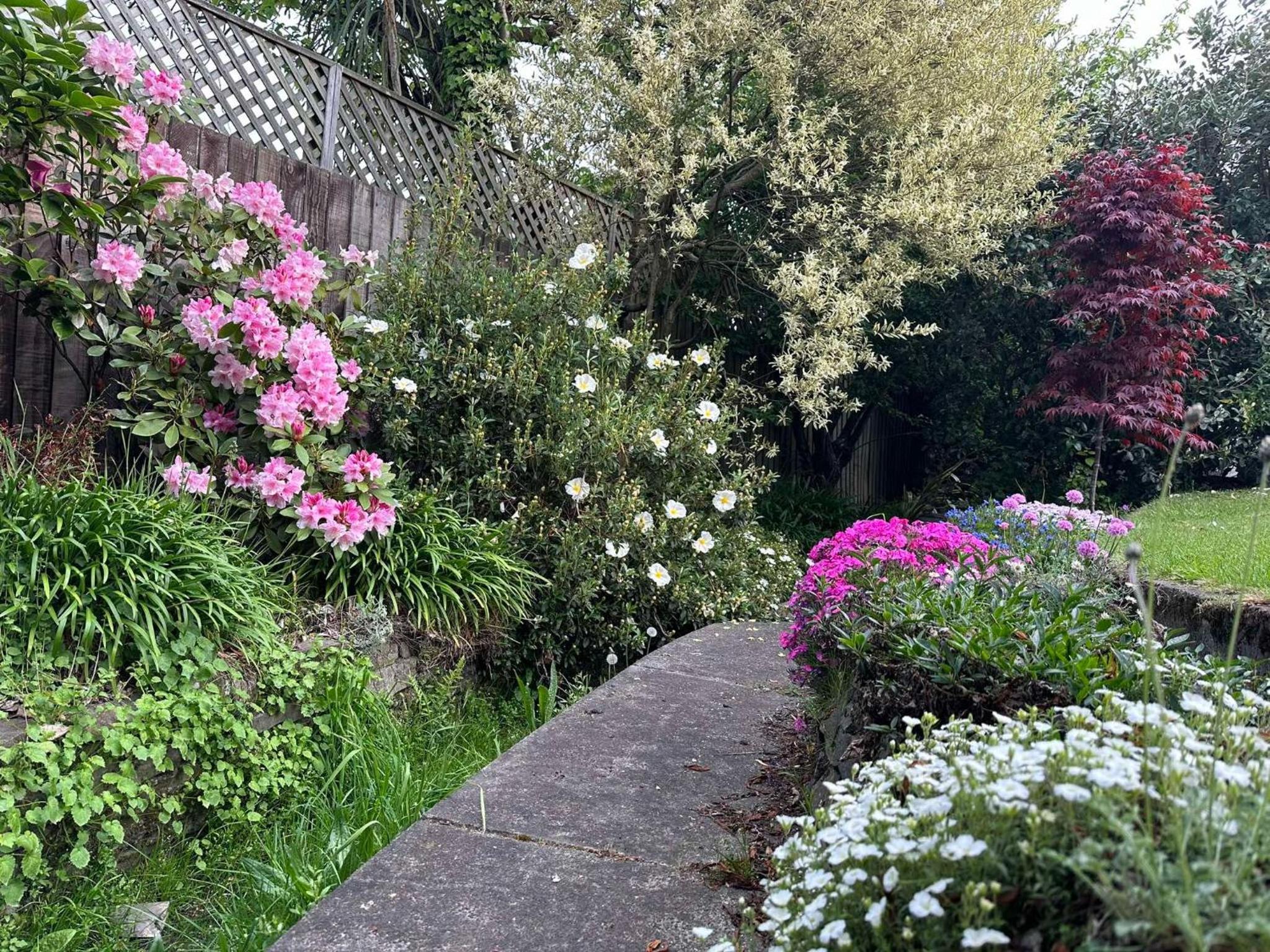 Photo 19