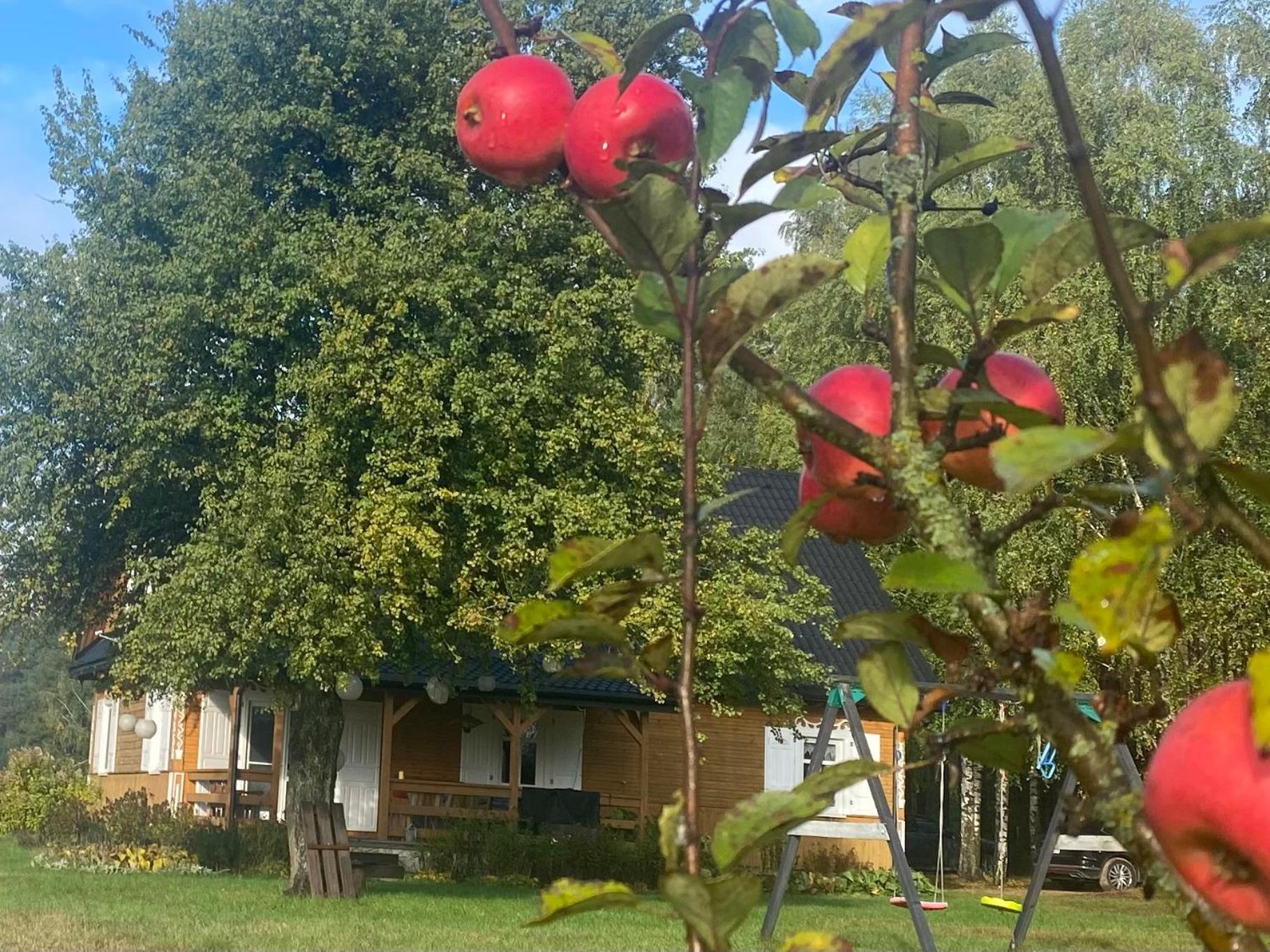 Photo 27