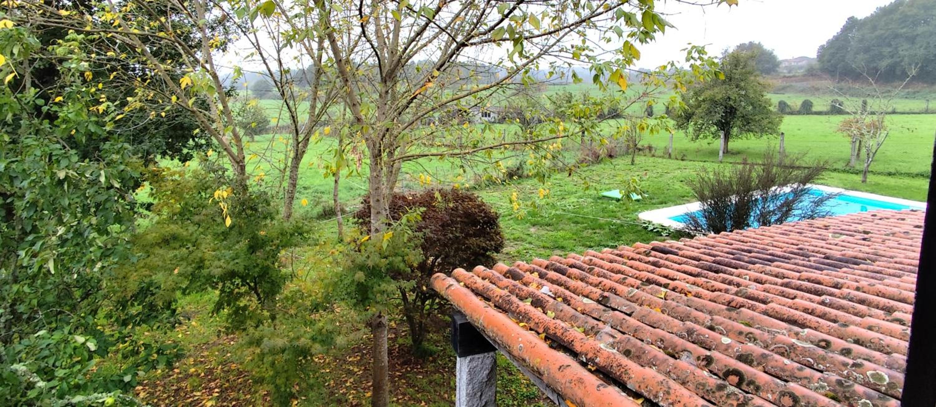 Fonte dos pumares