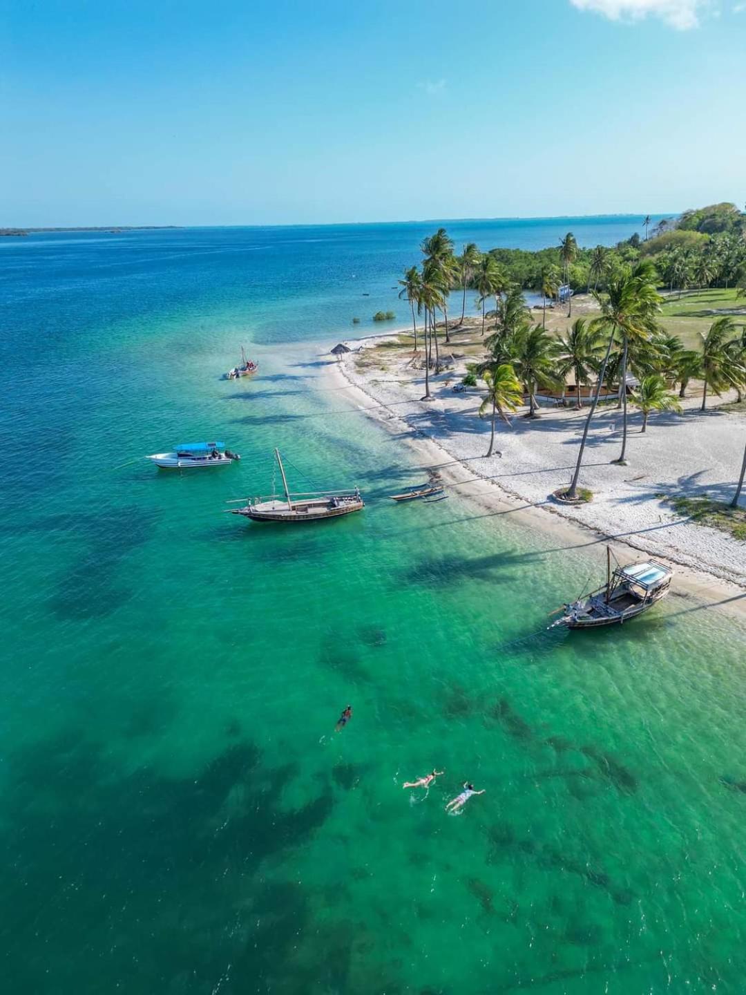 Coconut Mafia Island Bungalows