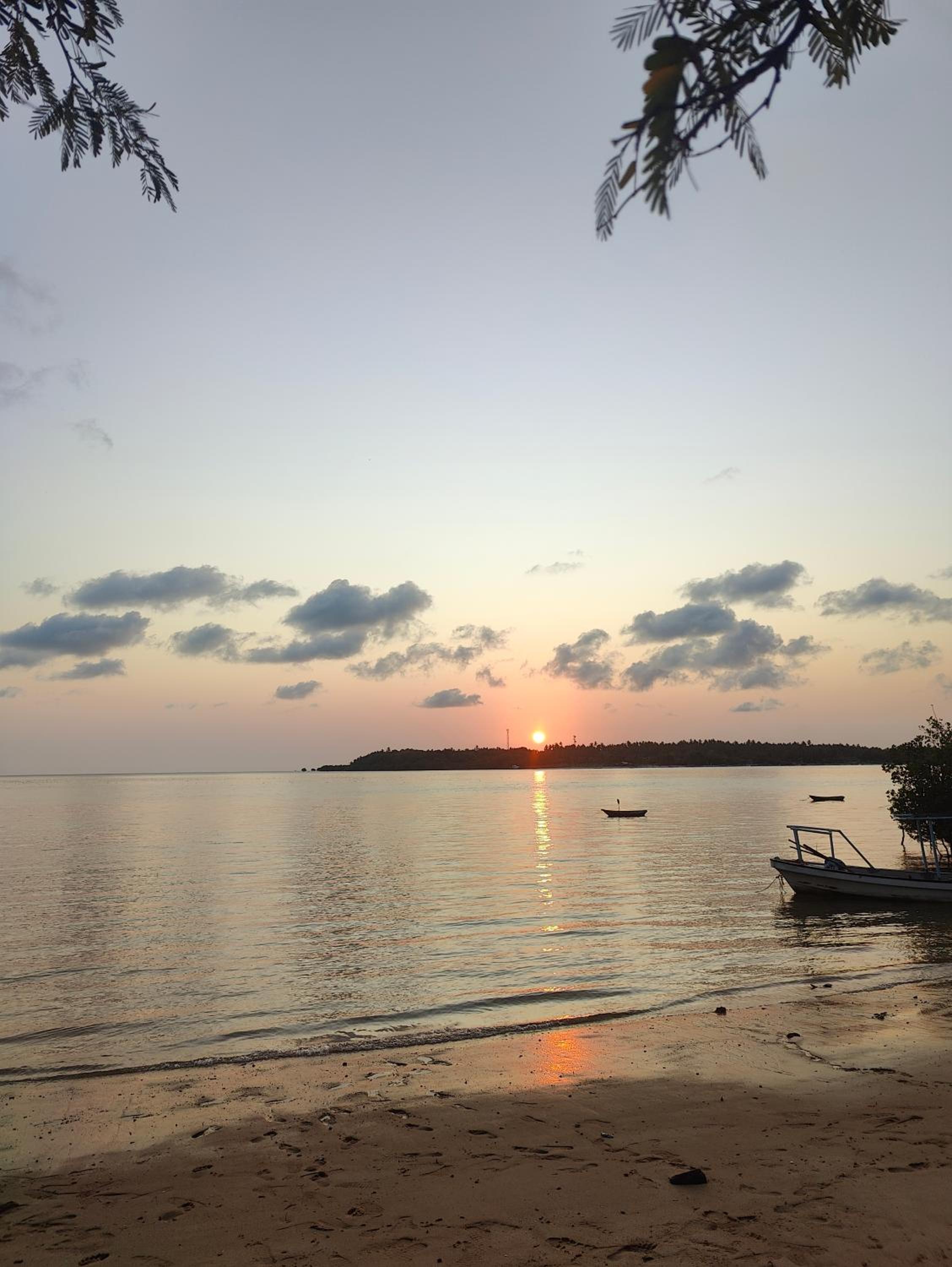 Coconut Mafia Island Bungalows