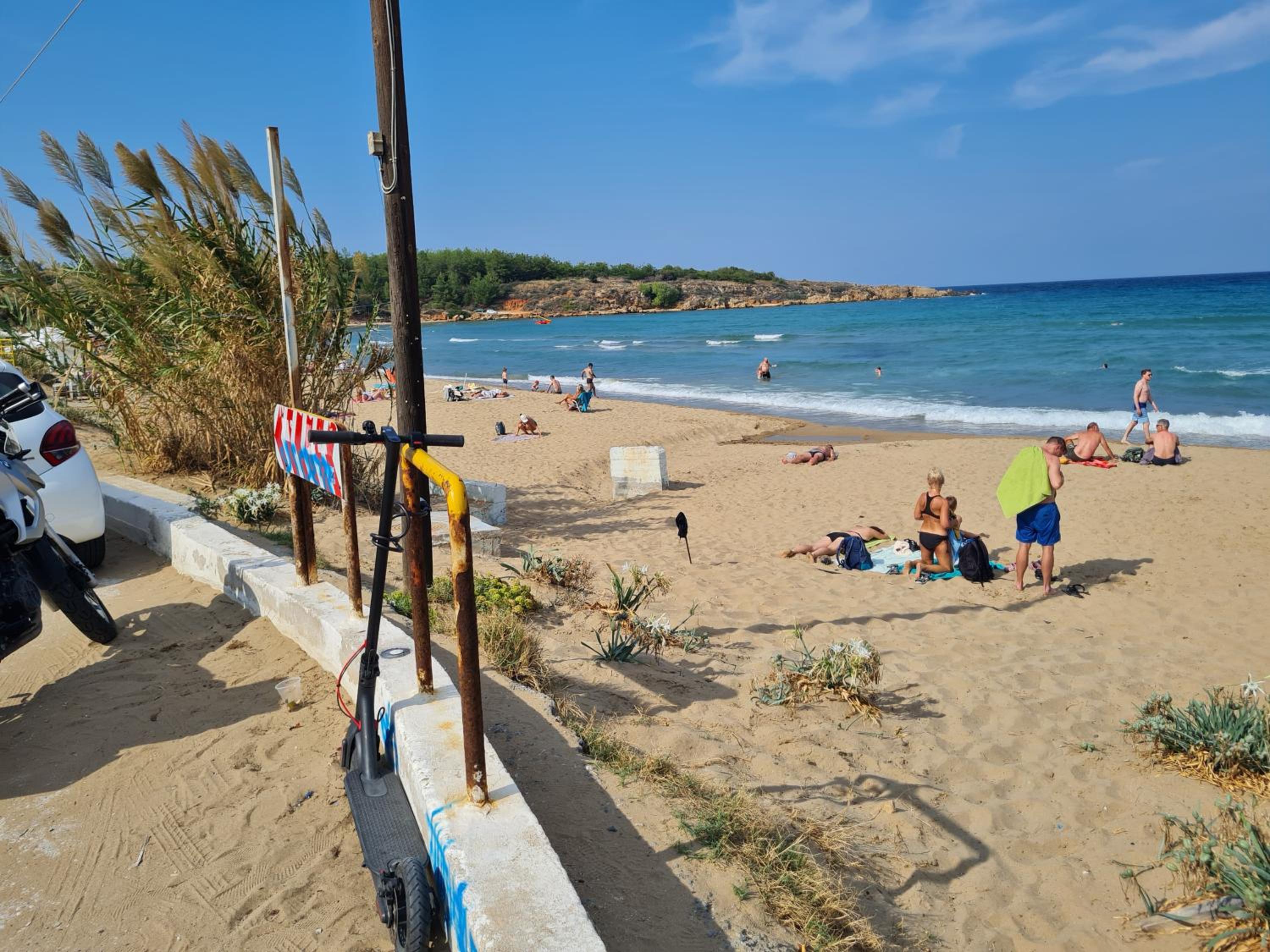 human