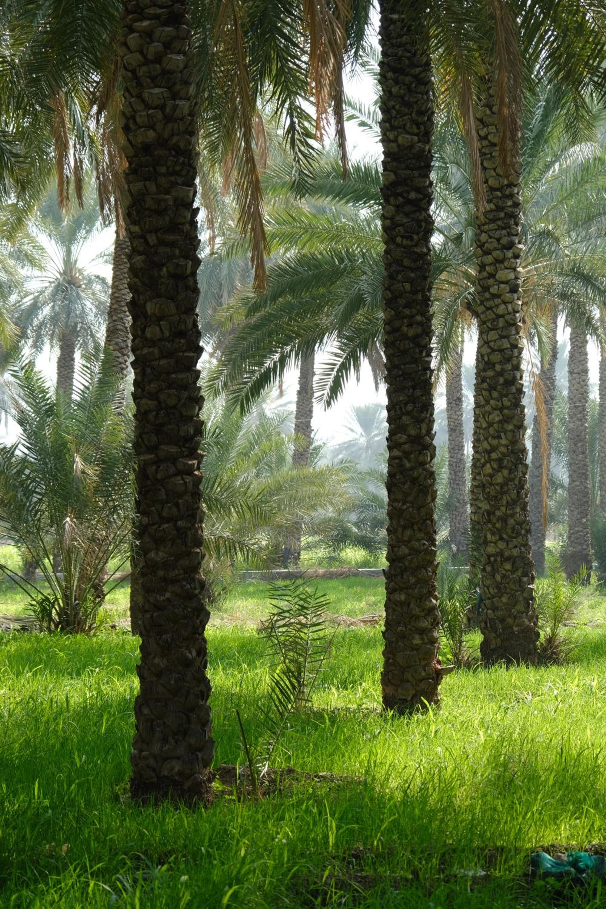 Nature House view 2