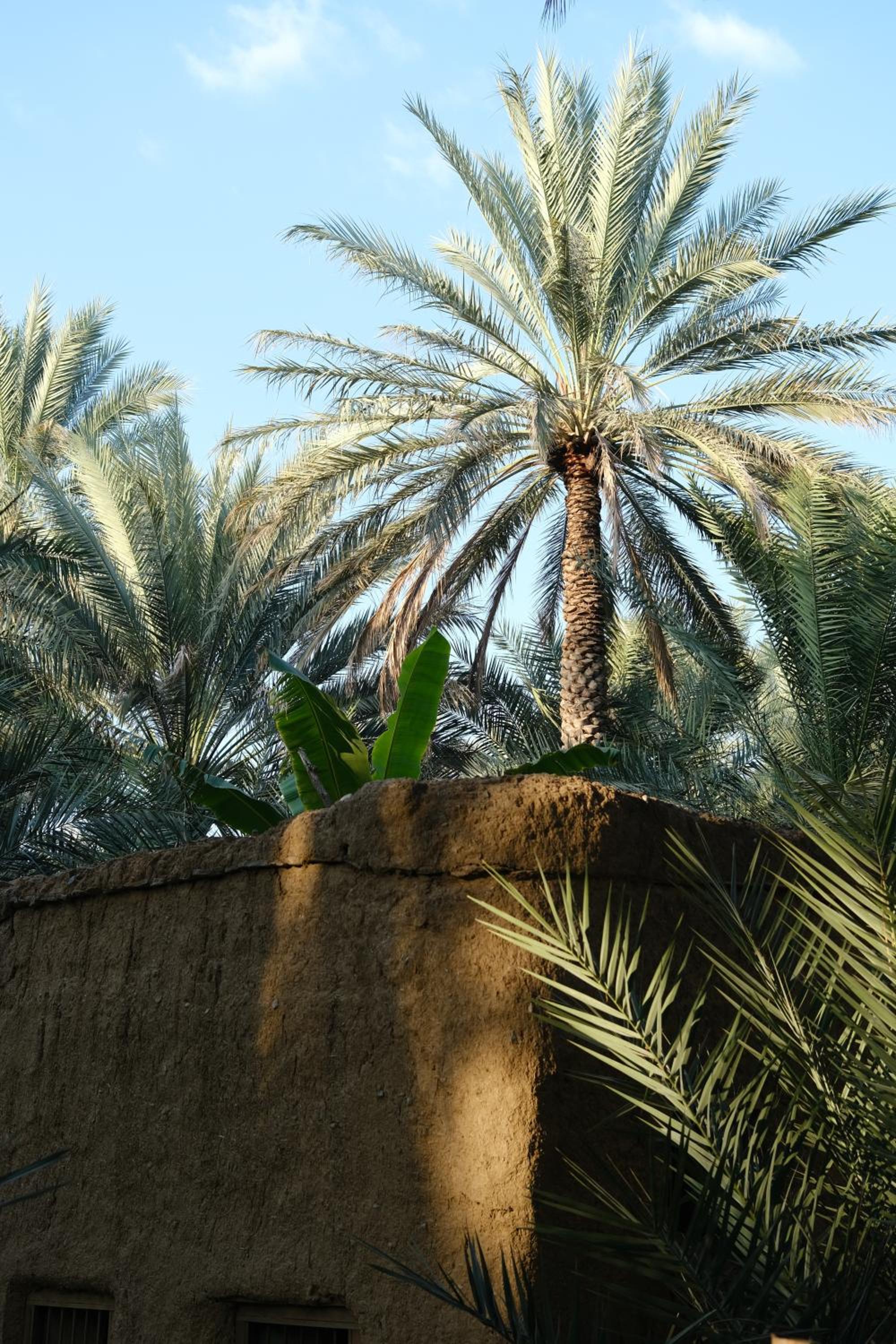 Nature House view 3