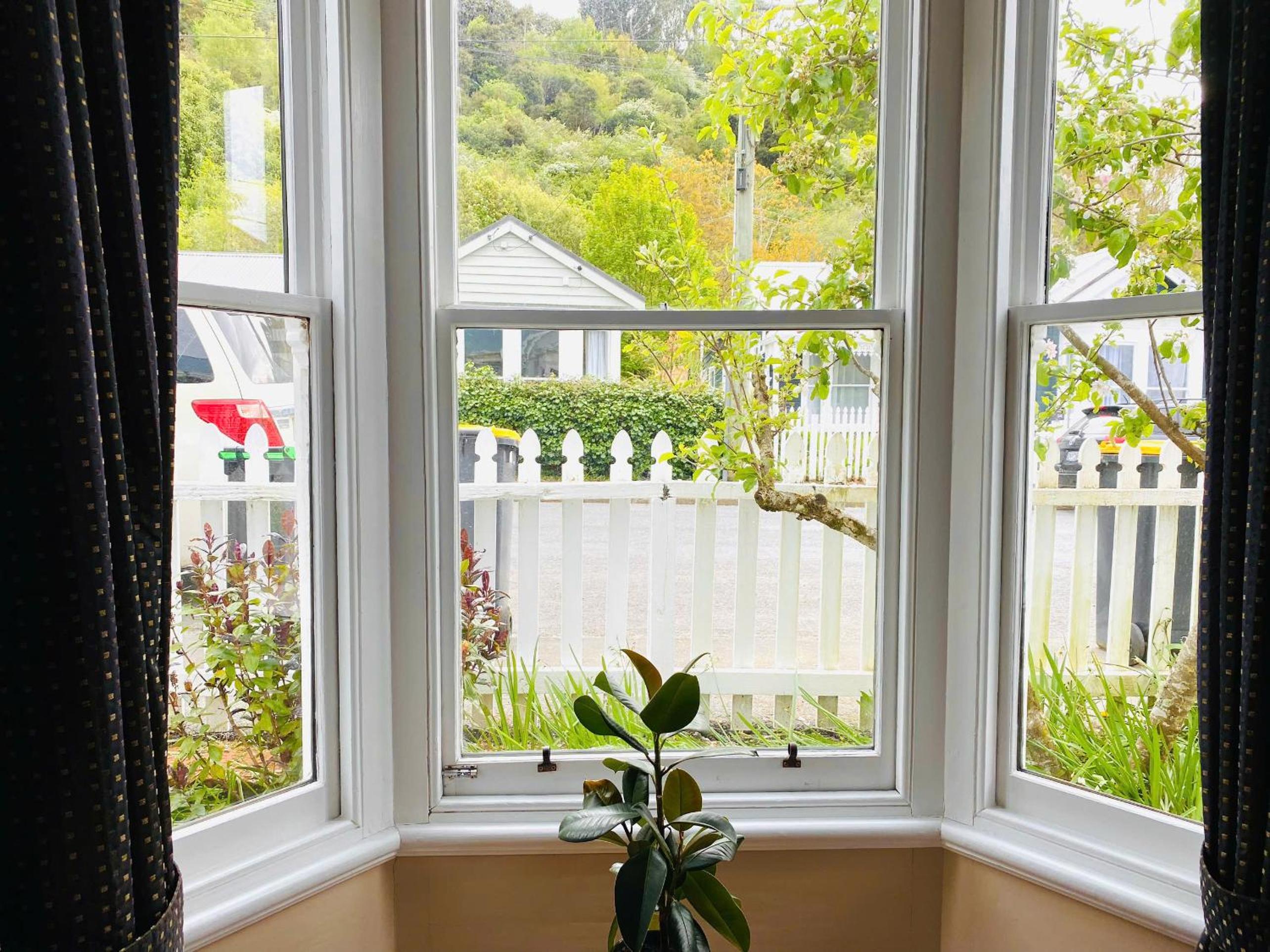 In Dunedin's Heart, Full House, Full Sun, Full Chill, Why Stay at a Hotel When You Can Afford an Entire House