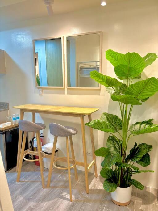 Modern Studio by Airport & Malls view 5