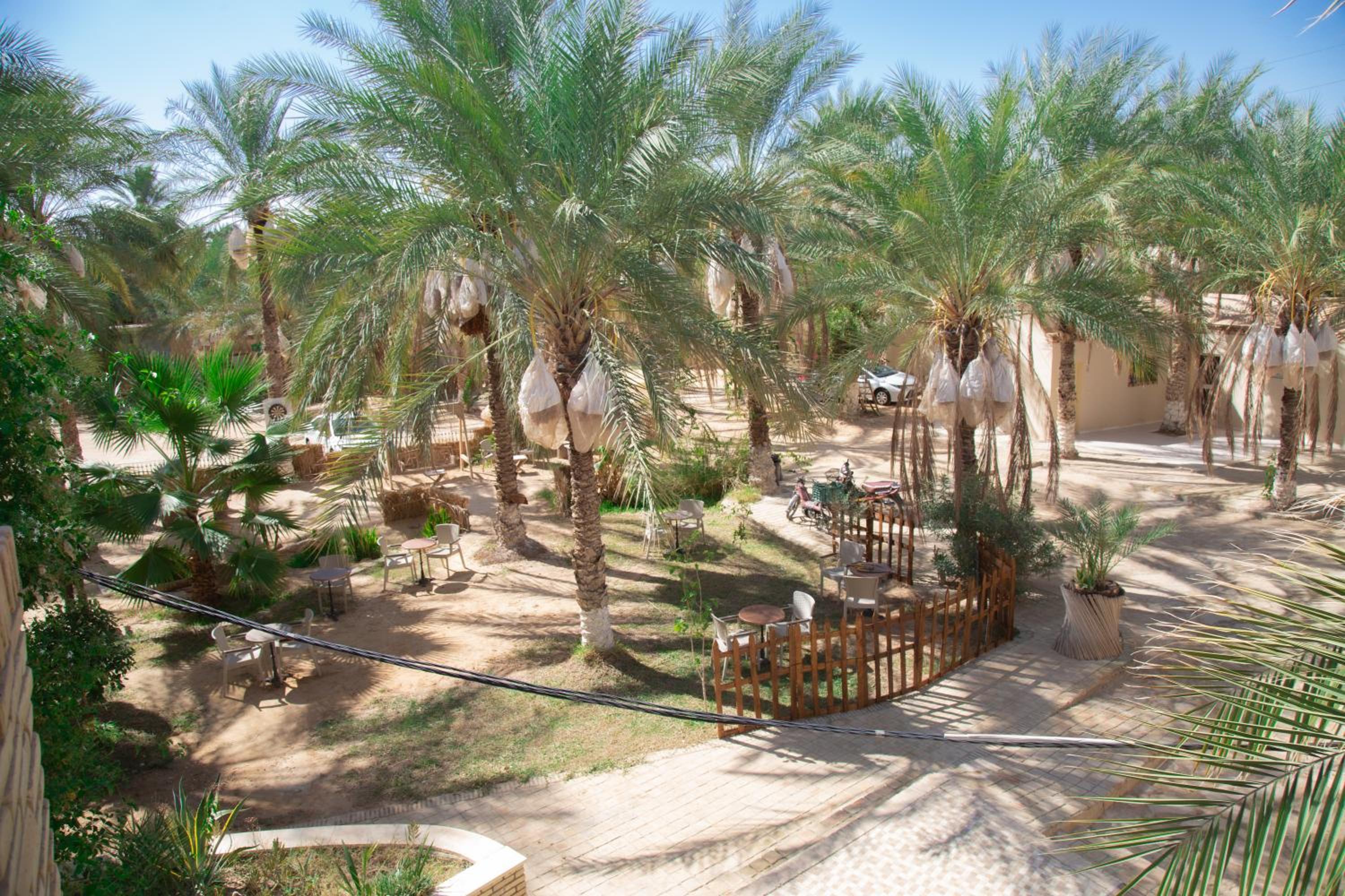 Tozeur Vacations - Residence El Arich - Property Image 3