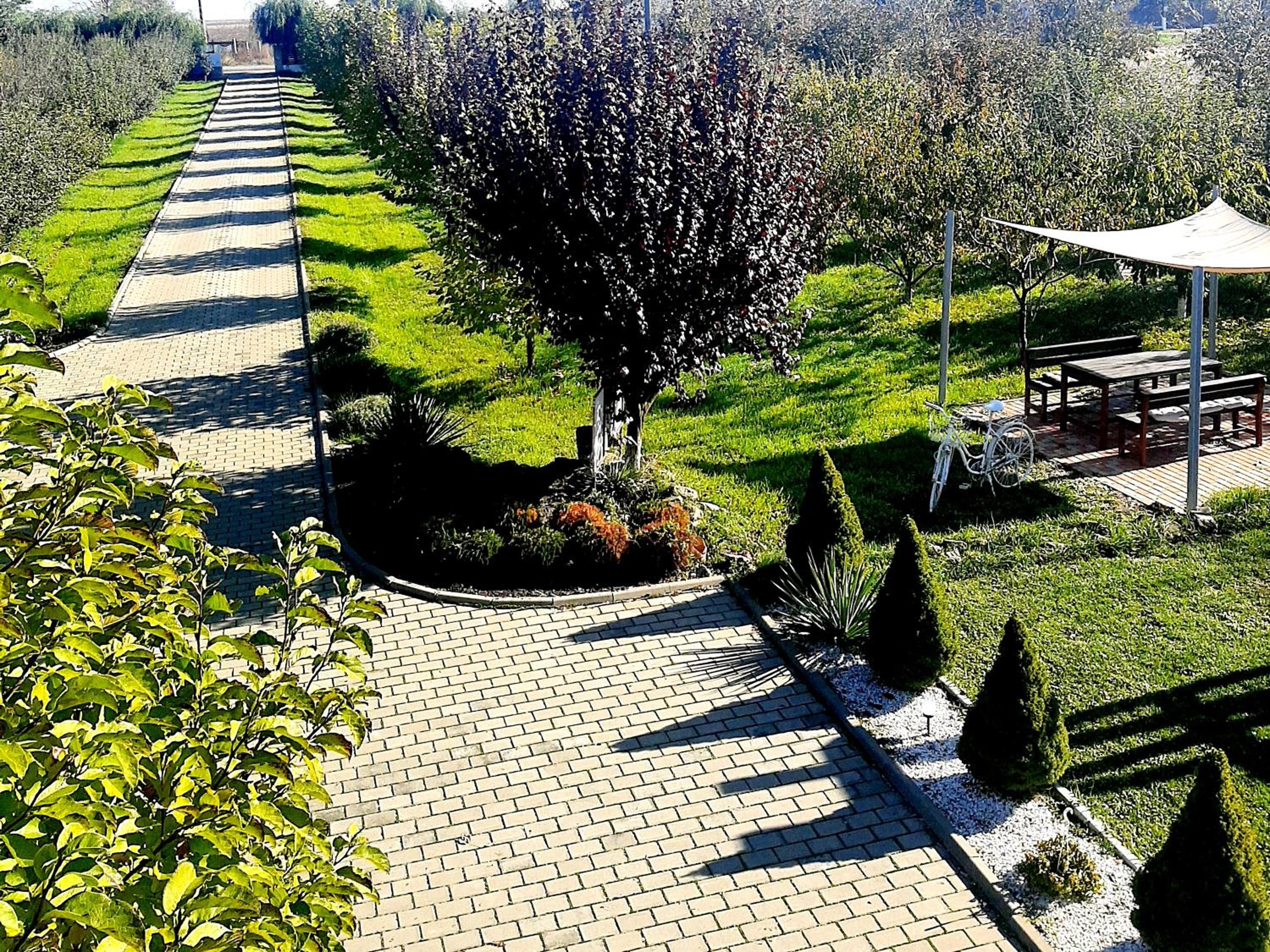 Dor de Casa view 4