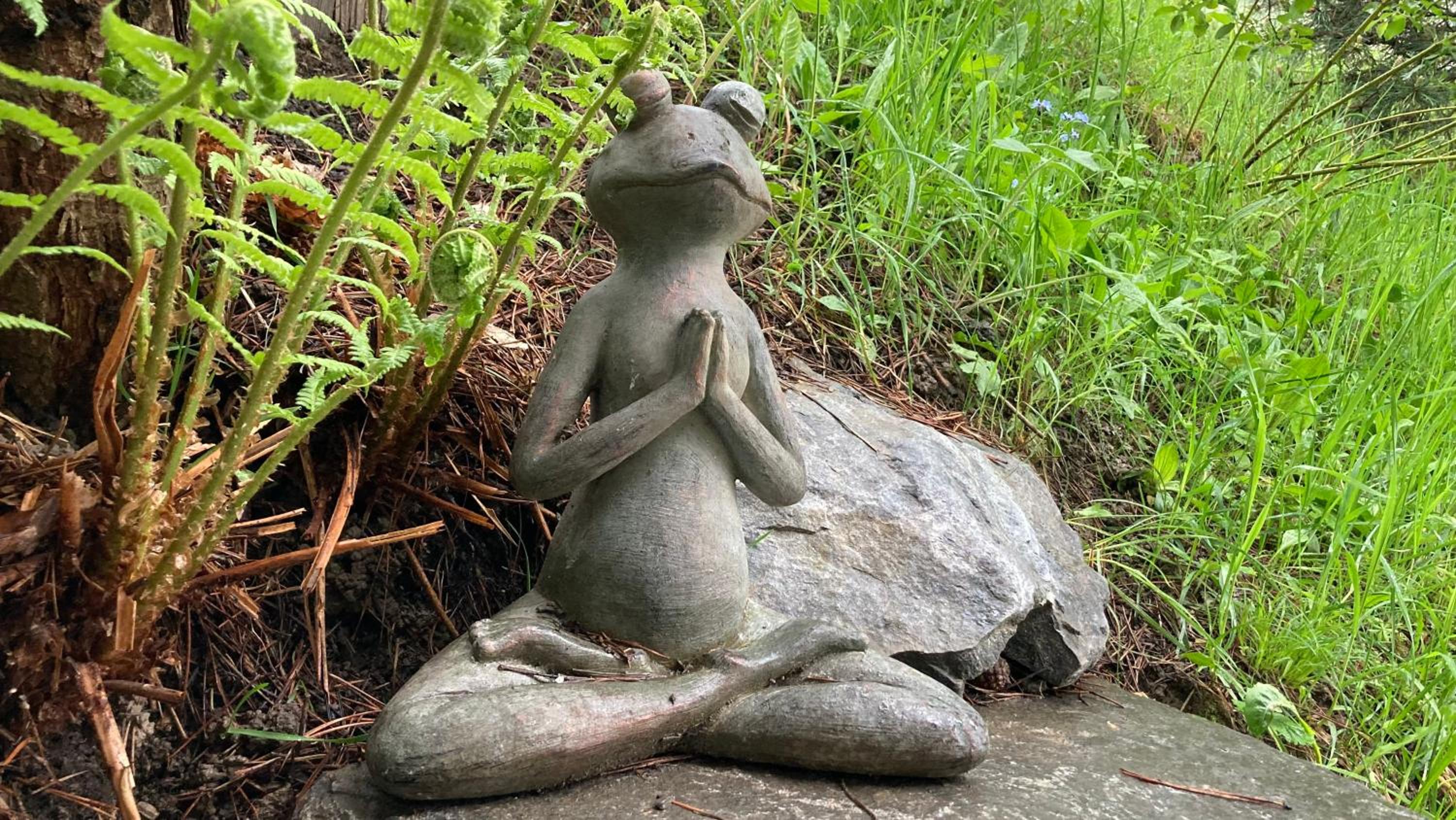 Le Lézard et la Grenouille BnB