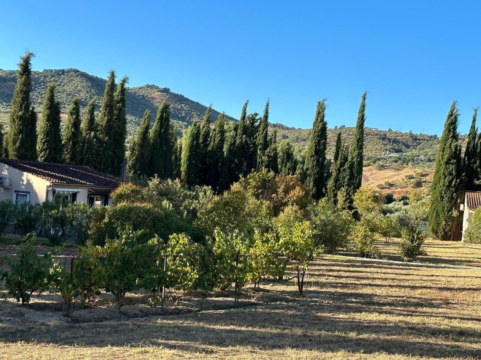 Casita Higo