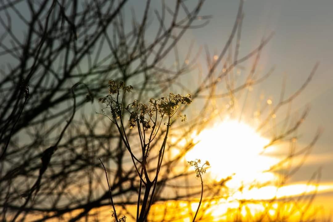 Dümmerliebe mit Garten, 10 Min. fussläufig zum See