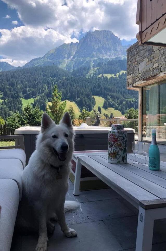 Super Luxury Serviced Apartment next to Gstaad