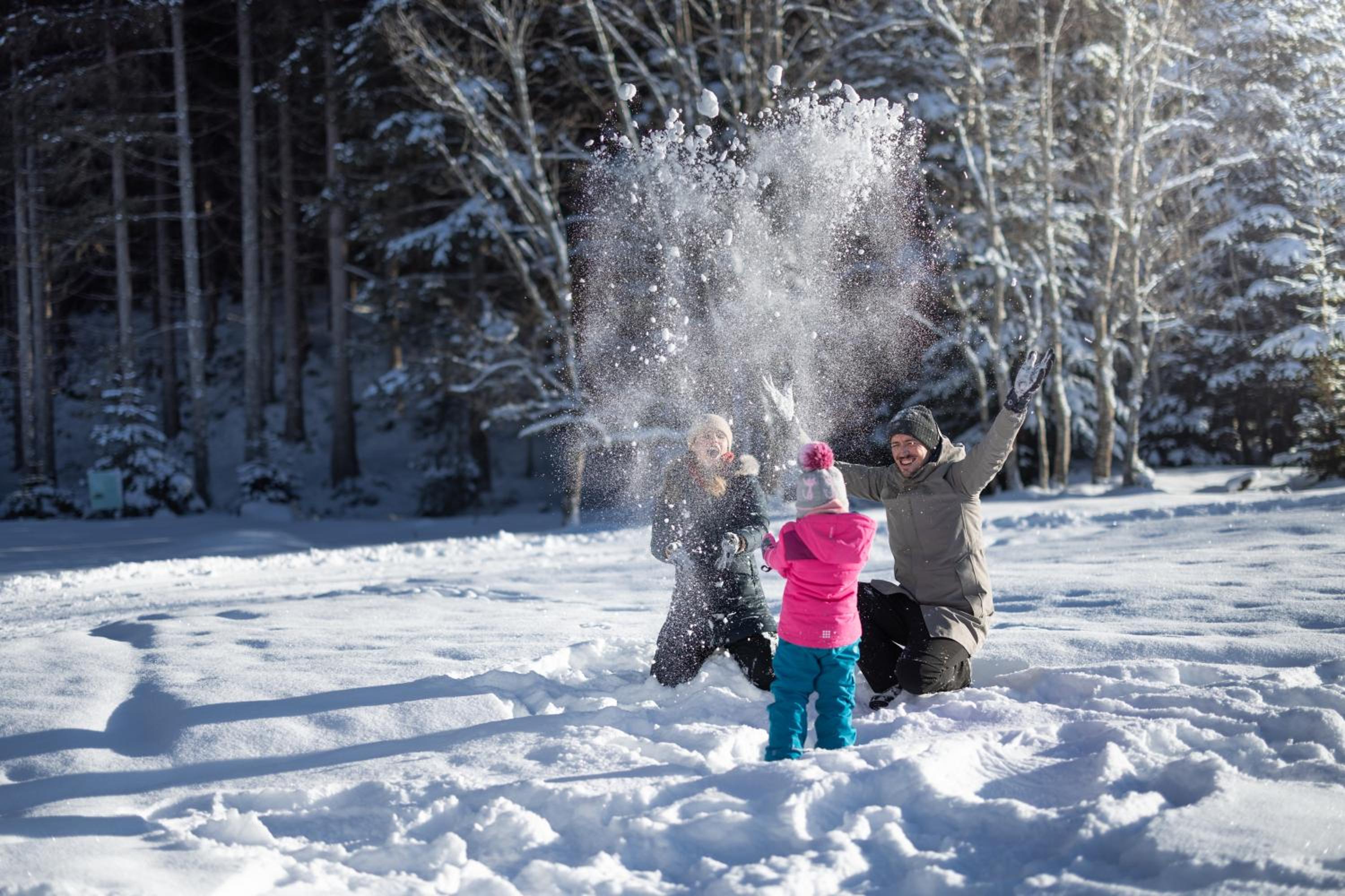 Feriengut Ottacherhof - Active Family Holiday in central Hollersbach view 3