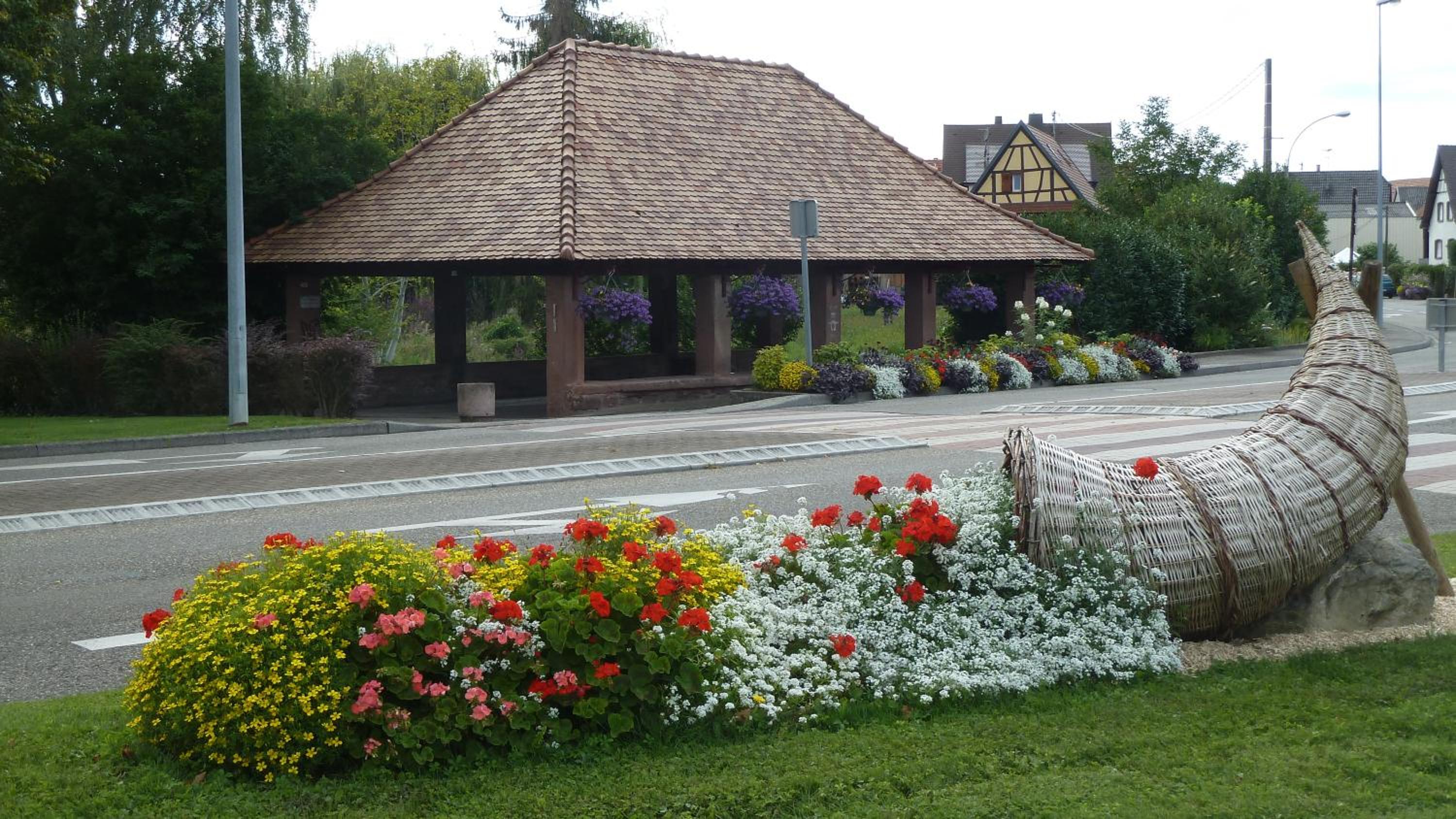 Photo 16