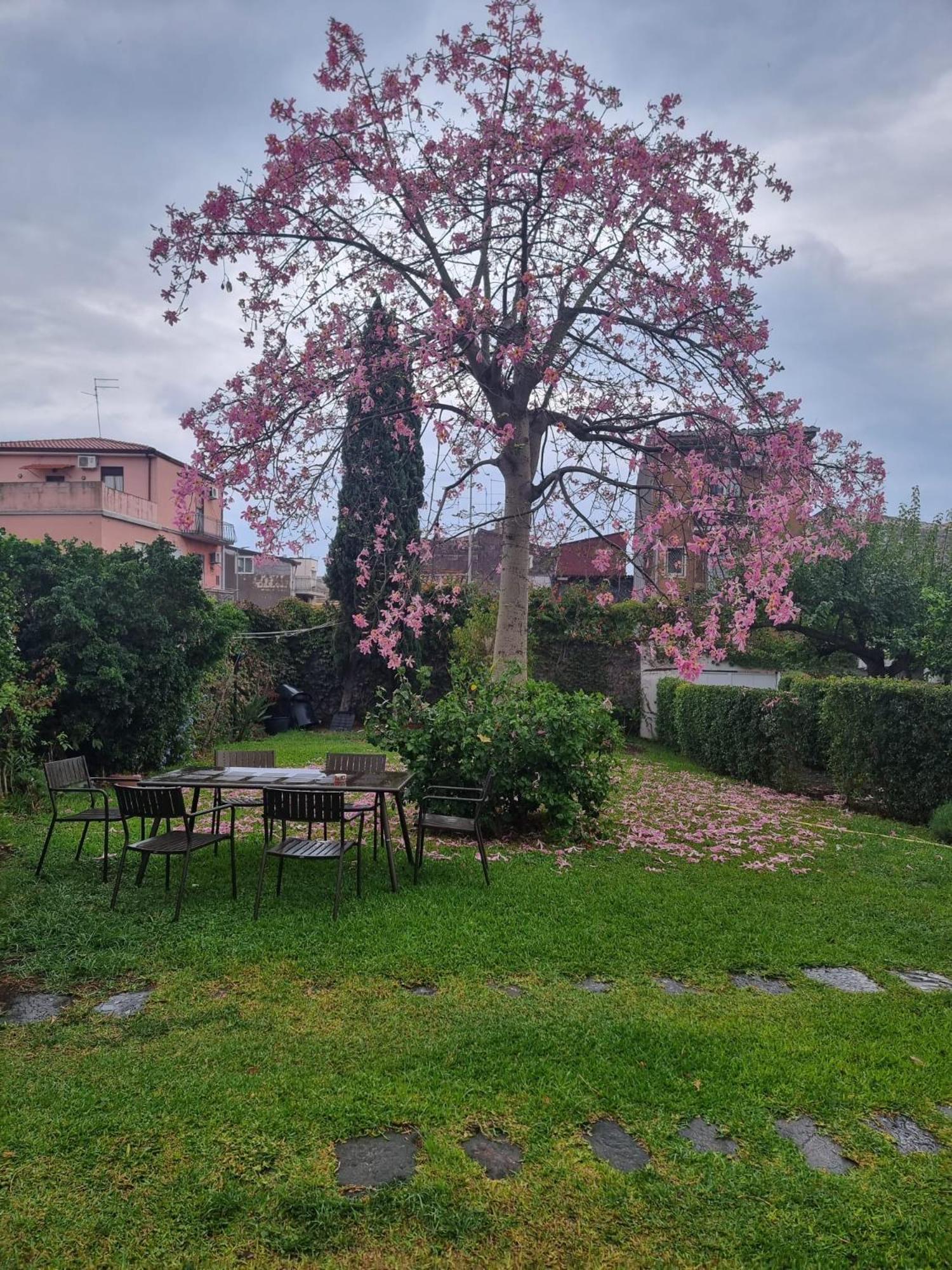 A casa nostra
