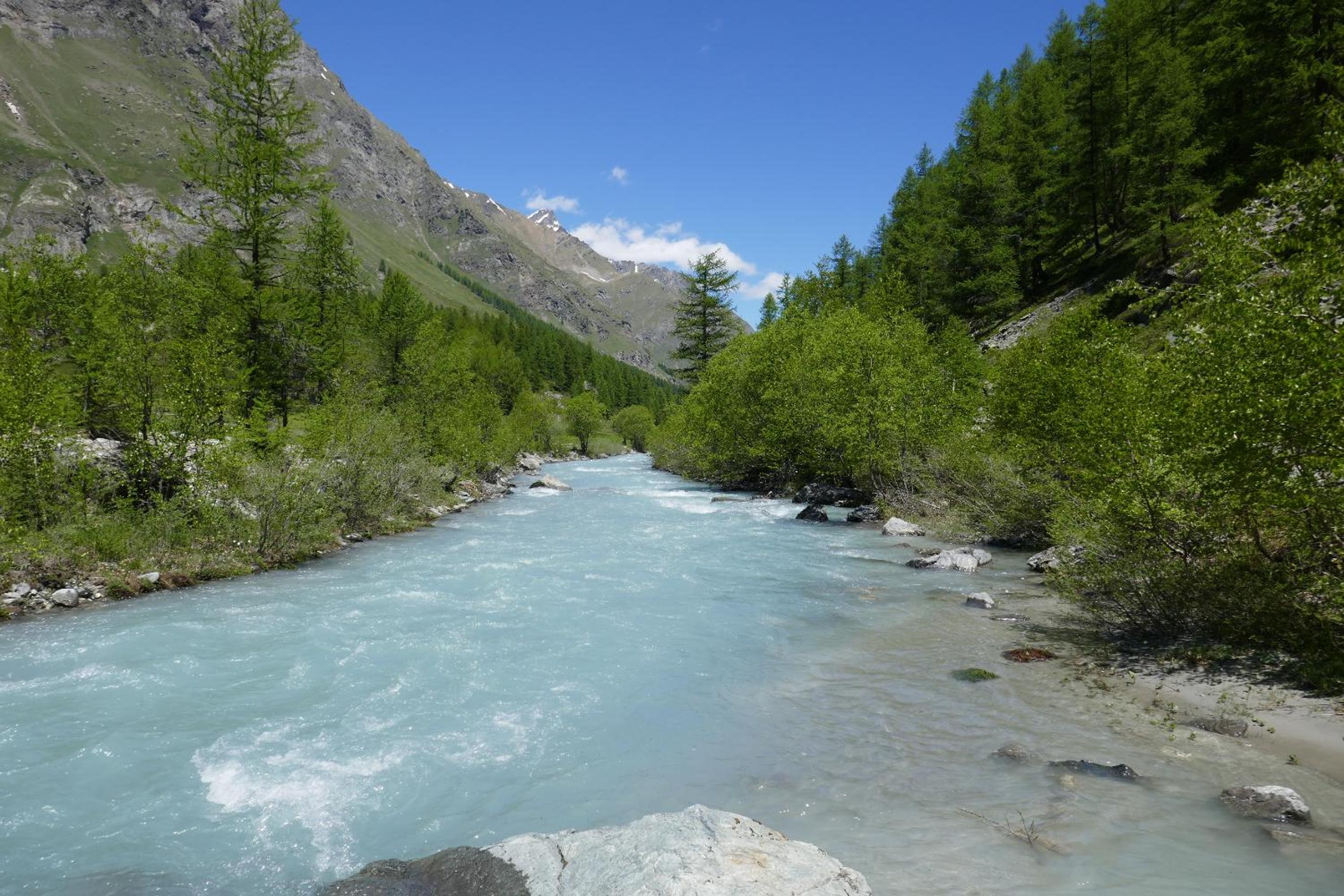 Photo 27