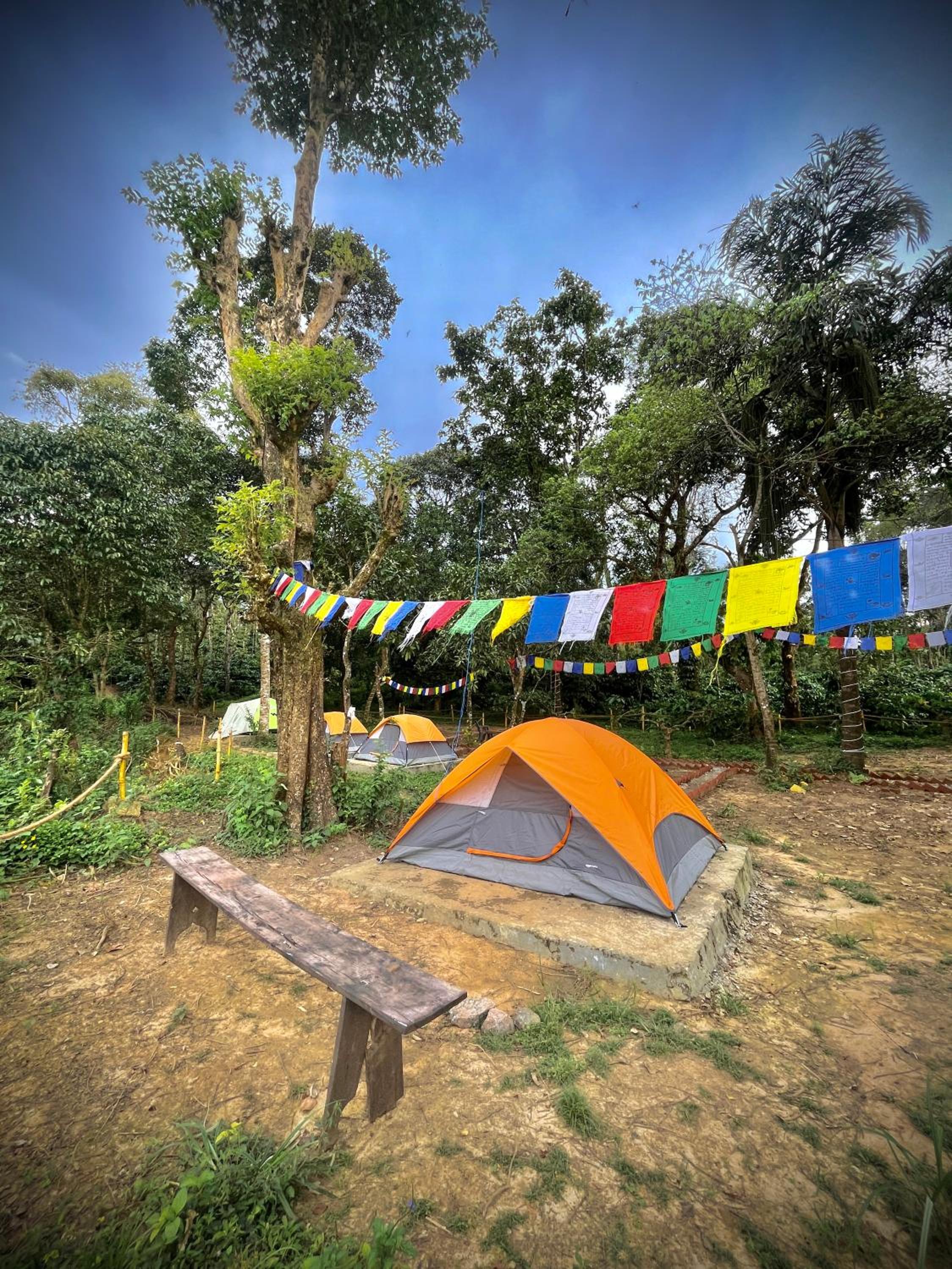 TauSco Homestay & Campsite - Coorg view 2