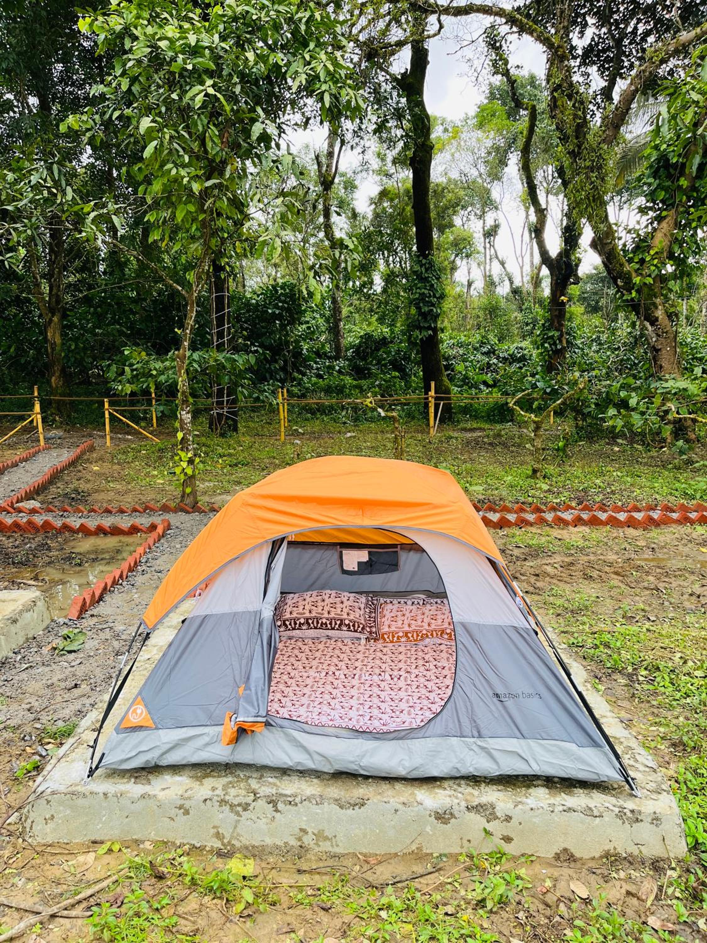 TauSco Homestay & Campsite - Coorg view 3