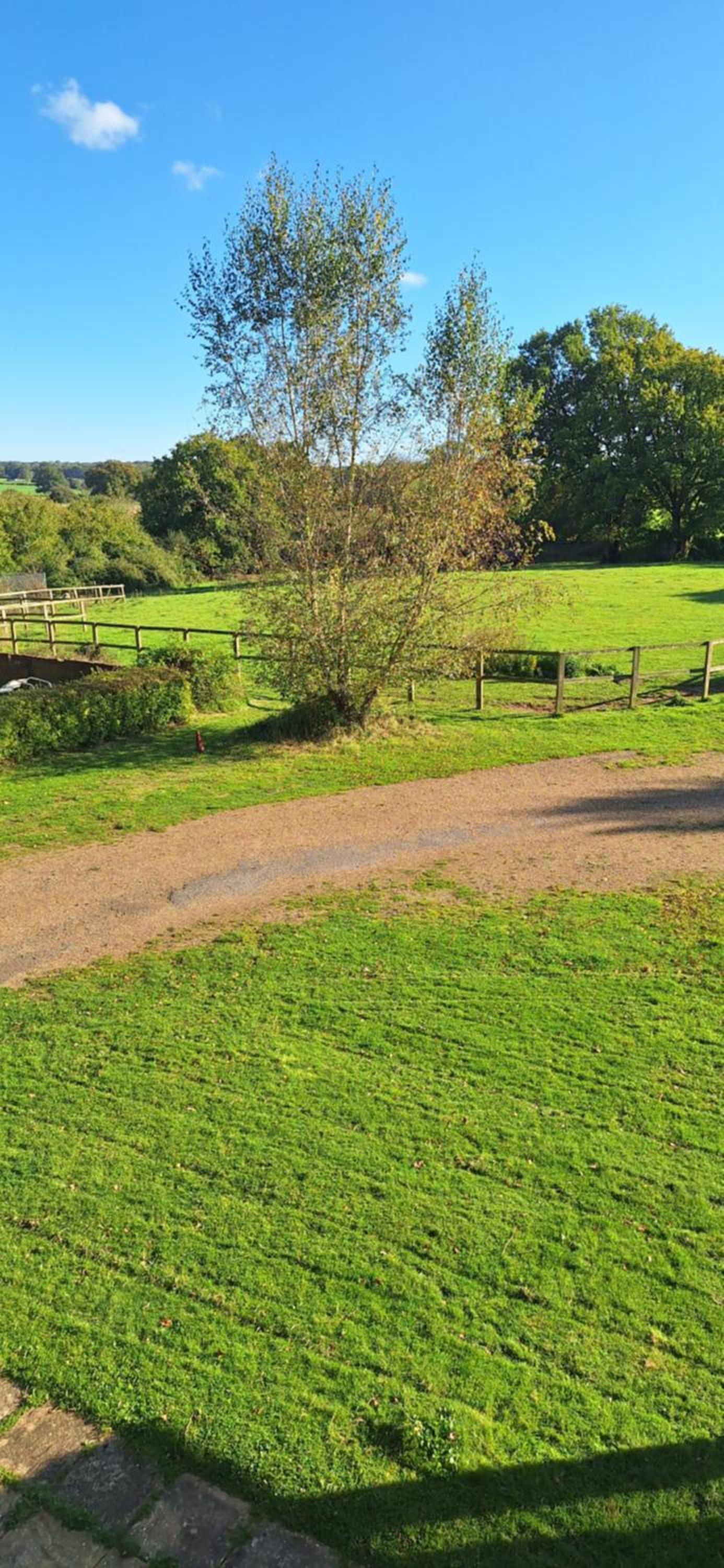 Hale Oaks Farm view 4