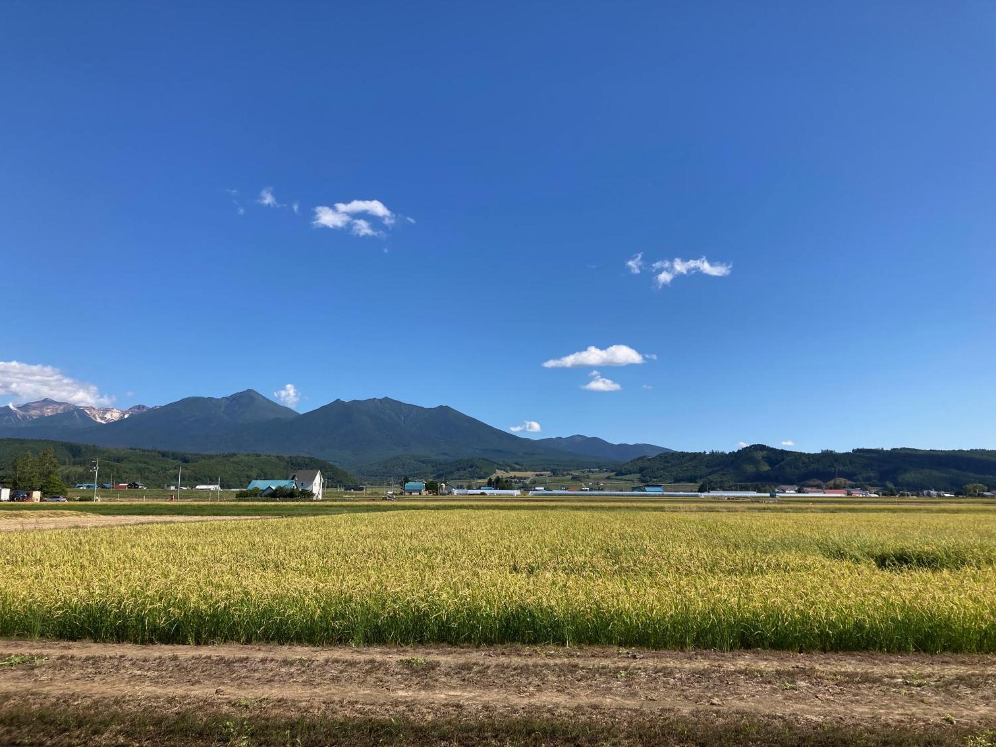 countryside FURANO