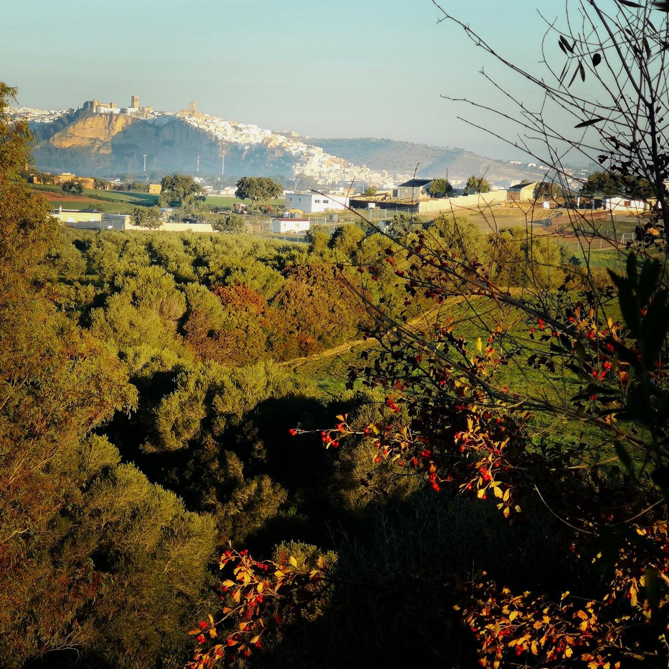 Finca encanto