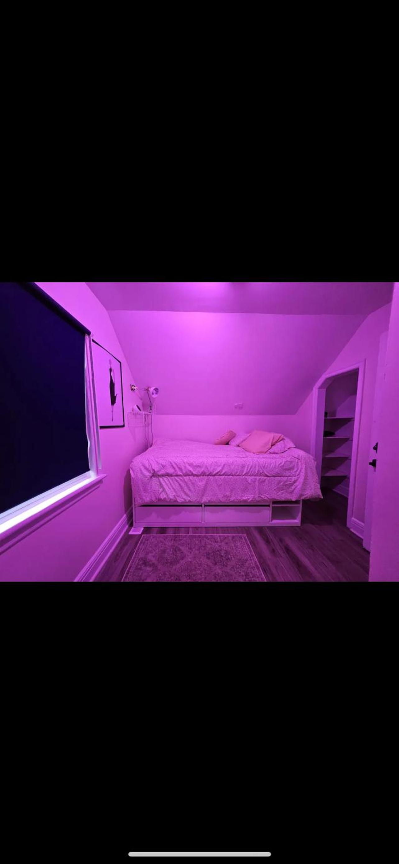 Central located Apartment