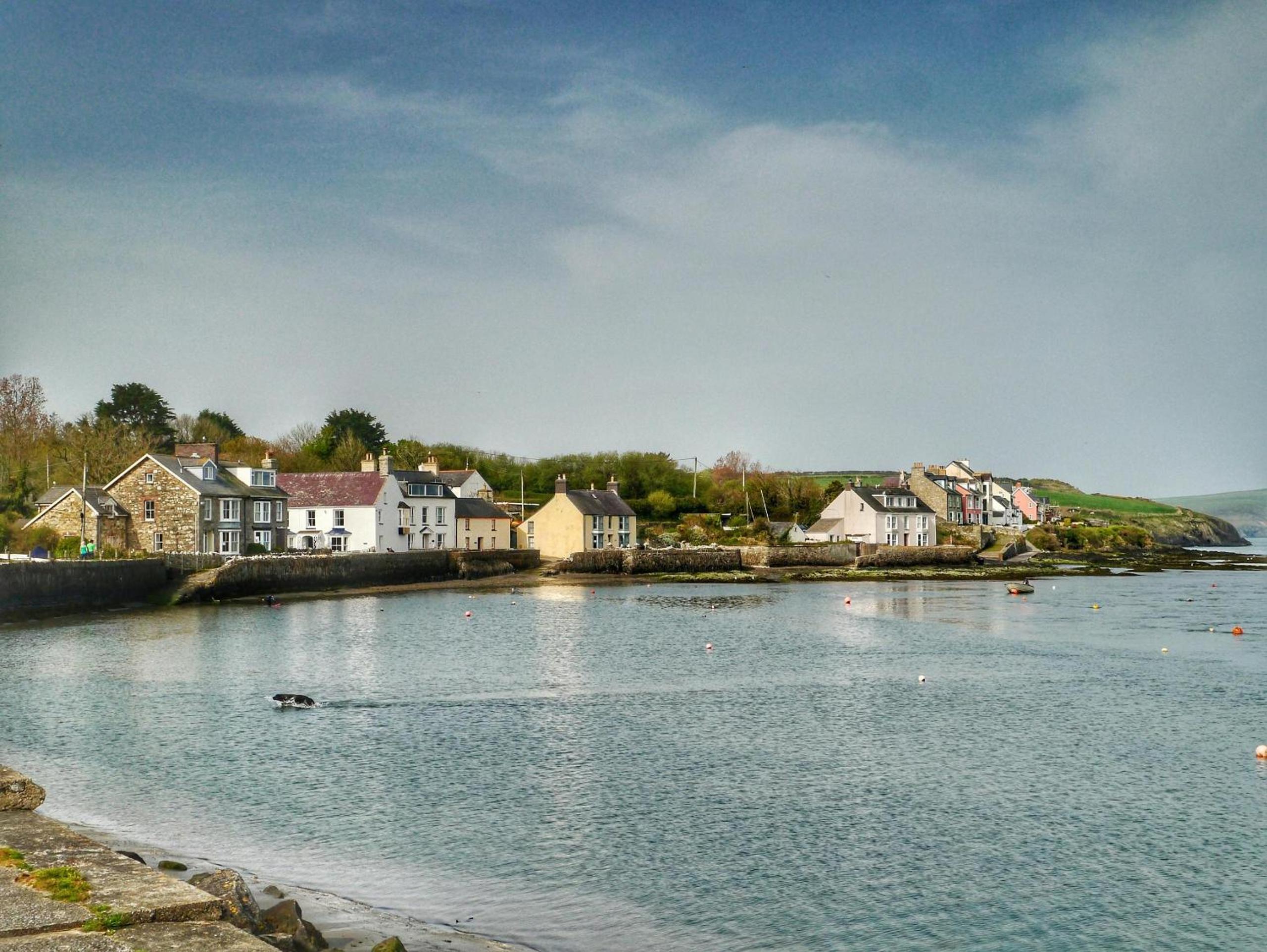 Nantyblodau Bach Newport