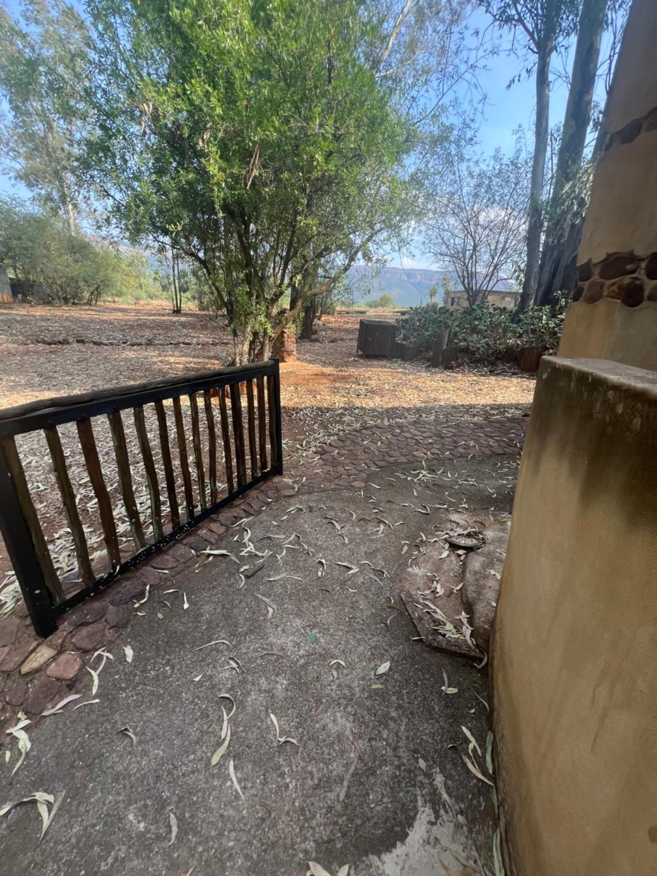 Photo 124