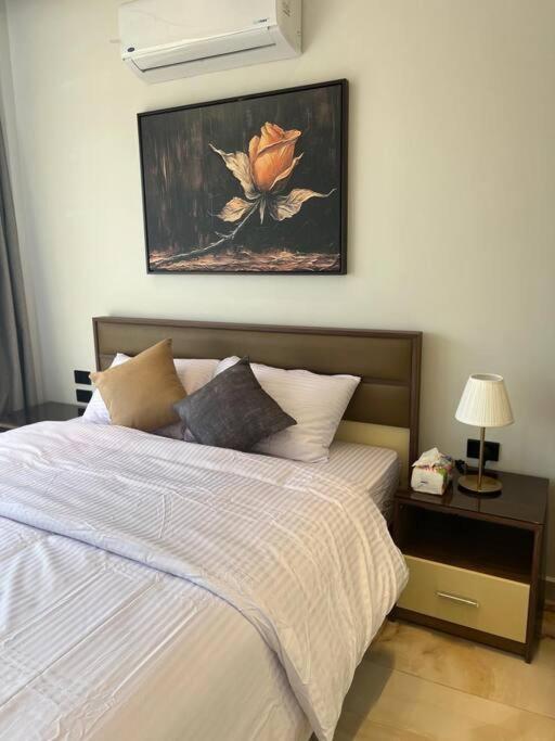 Majestic Comfort Elite Suite in Dokki1