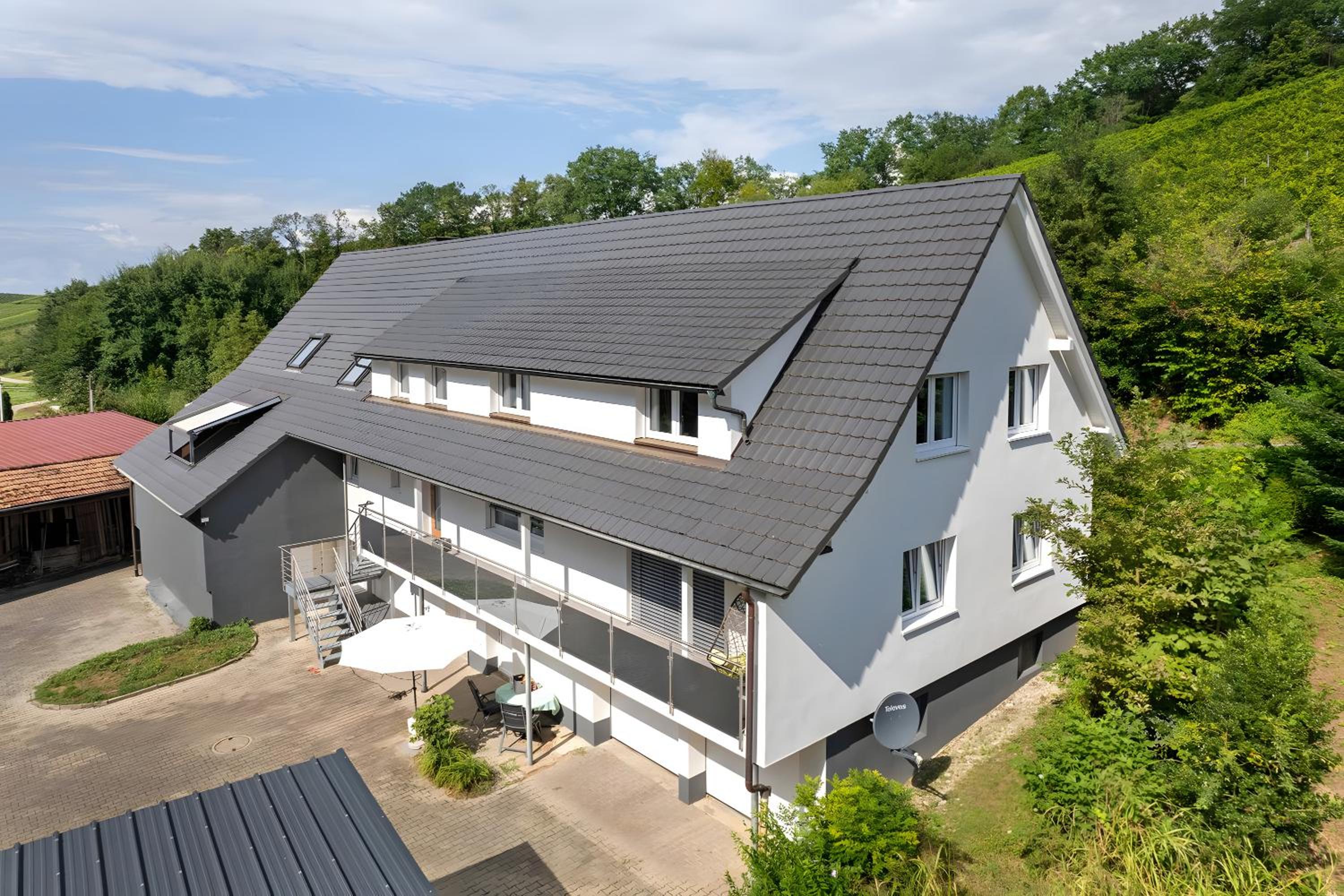 Waldzauber Fichte