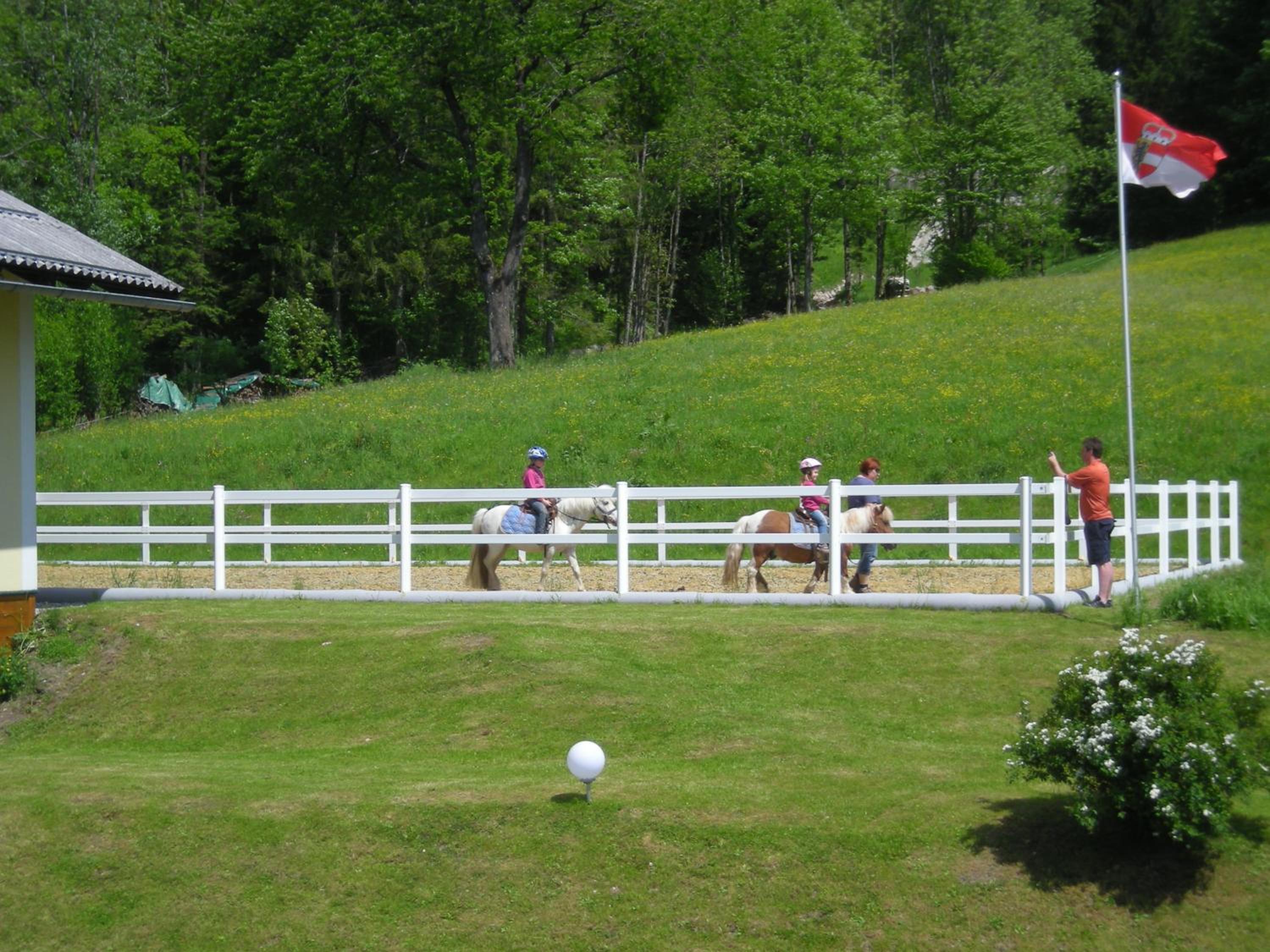Photo 42