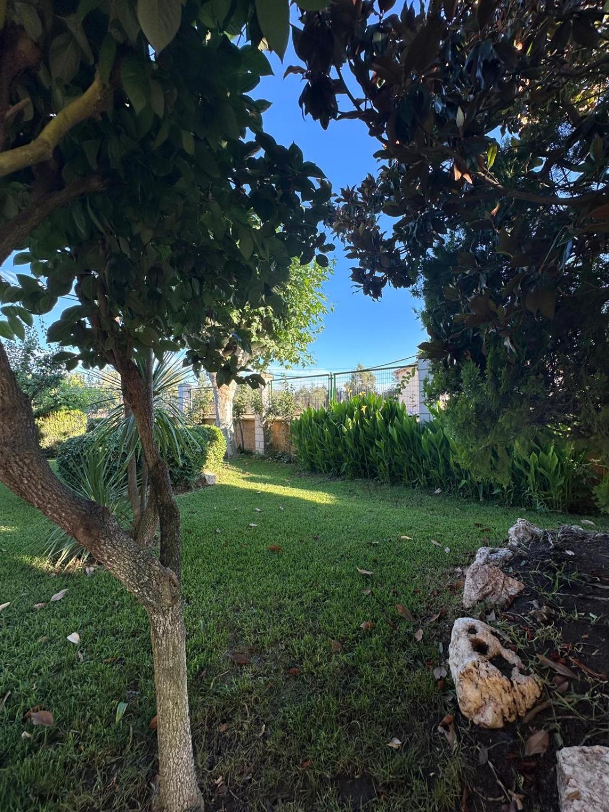 Casa Rural El Limonero