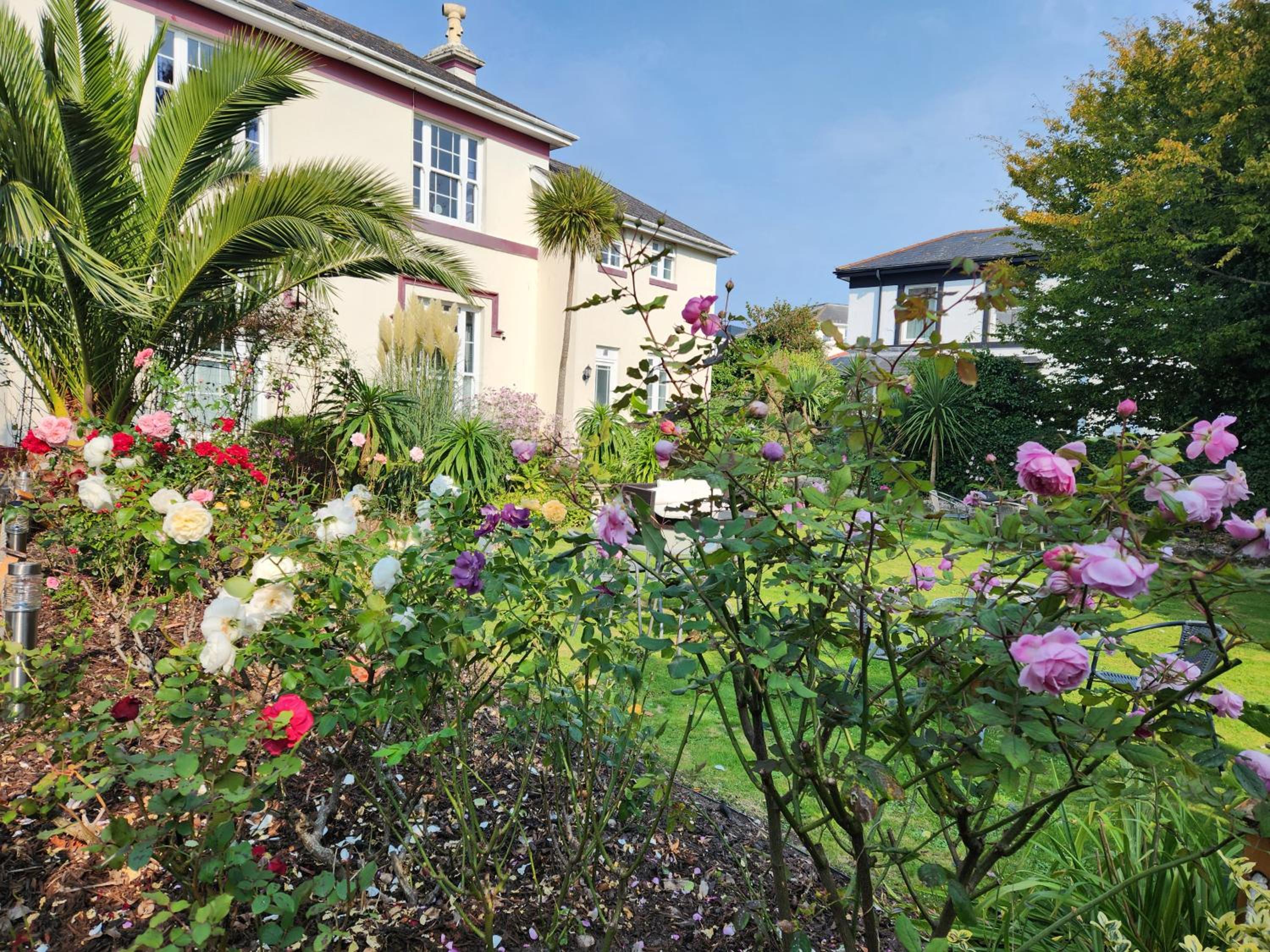 Rose Court Holiday Apartments