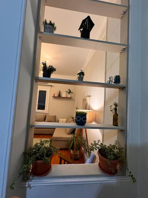 Cozy City Center Apartment & Suitable for Digital Nomads