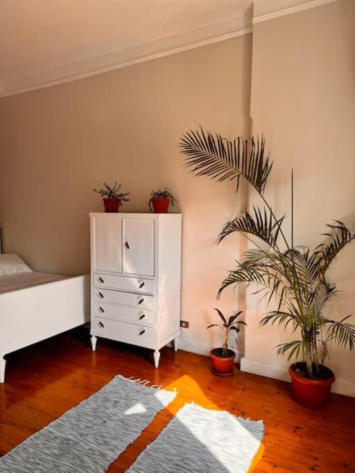 Cozy City Center Apartment & Suitable for Digital Nomads