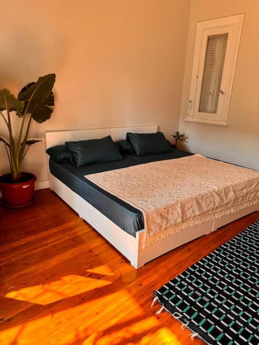 Cozy City Center Apartment & Suitable for Digital Nomads