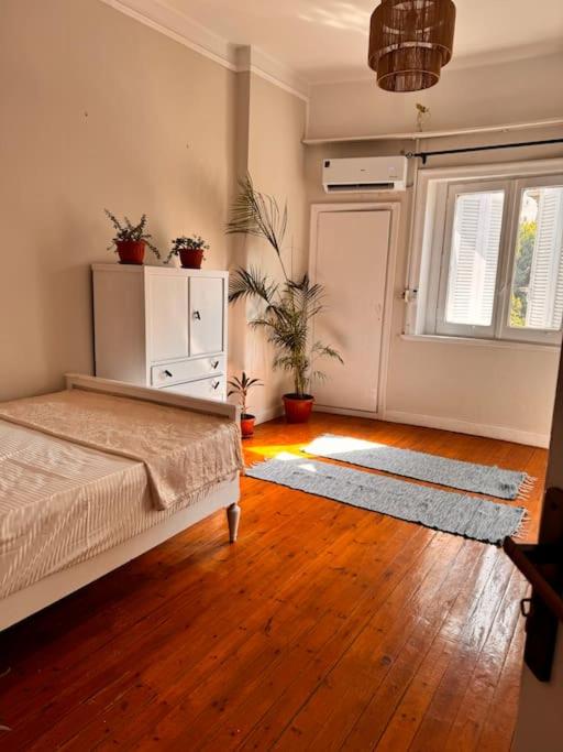 Cozy City Center Apartment & Suitable for Digital Nomads